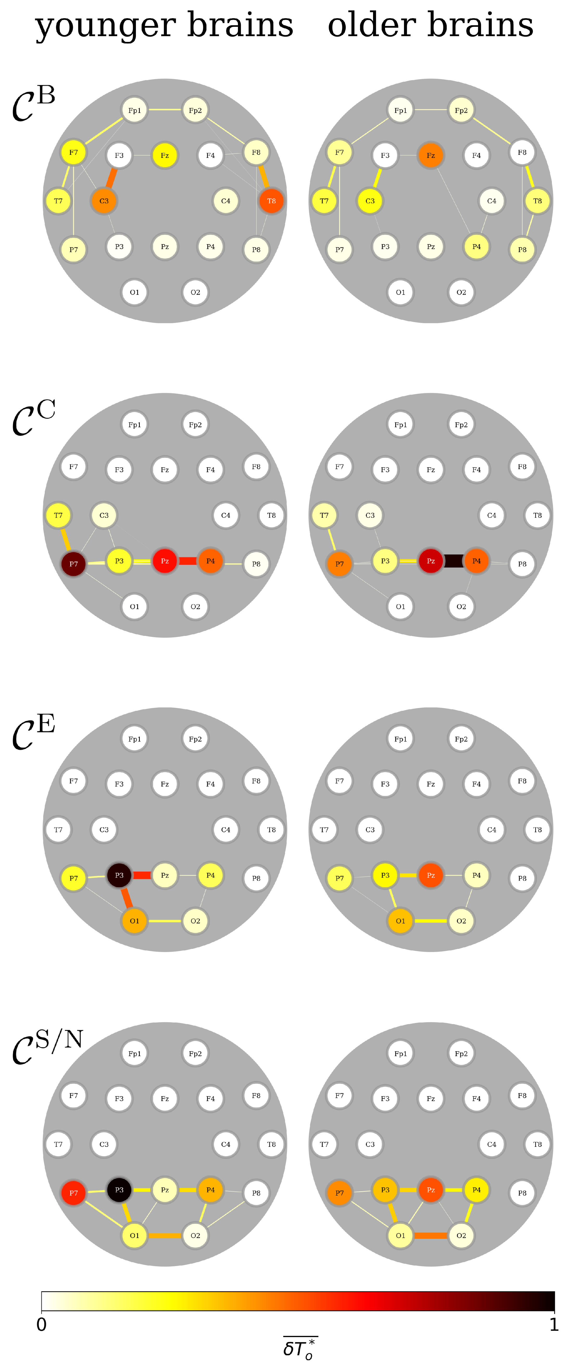 Brainsci 15 00772 g0a5