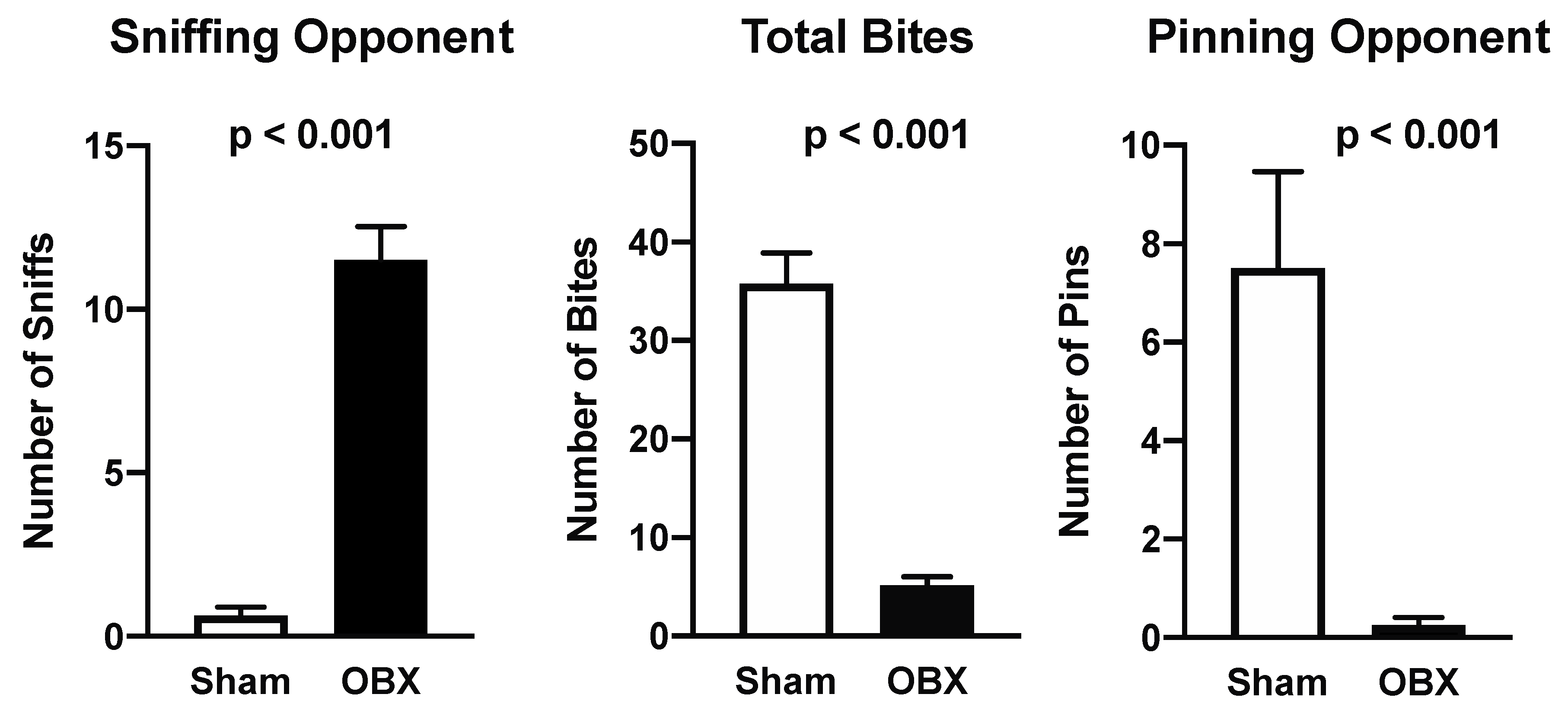 Brainsci 15 00775 g002