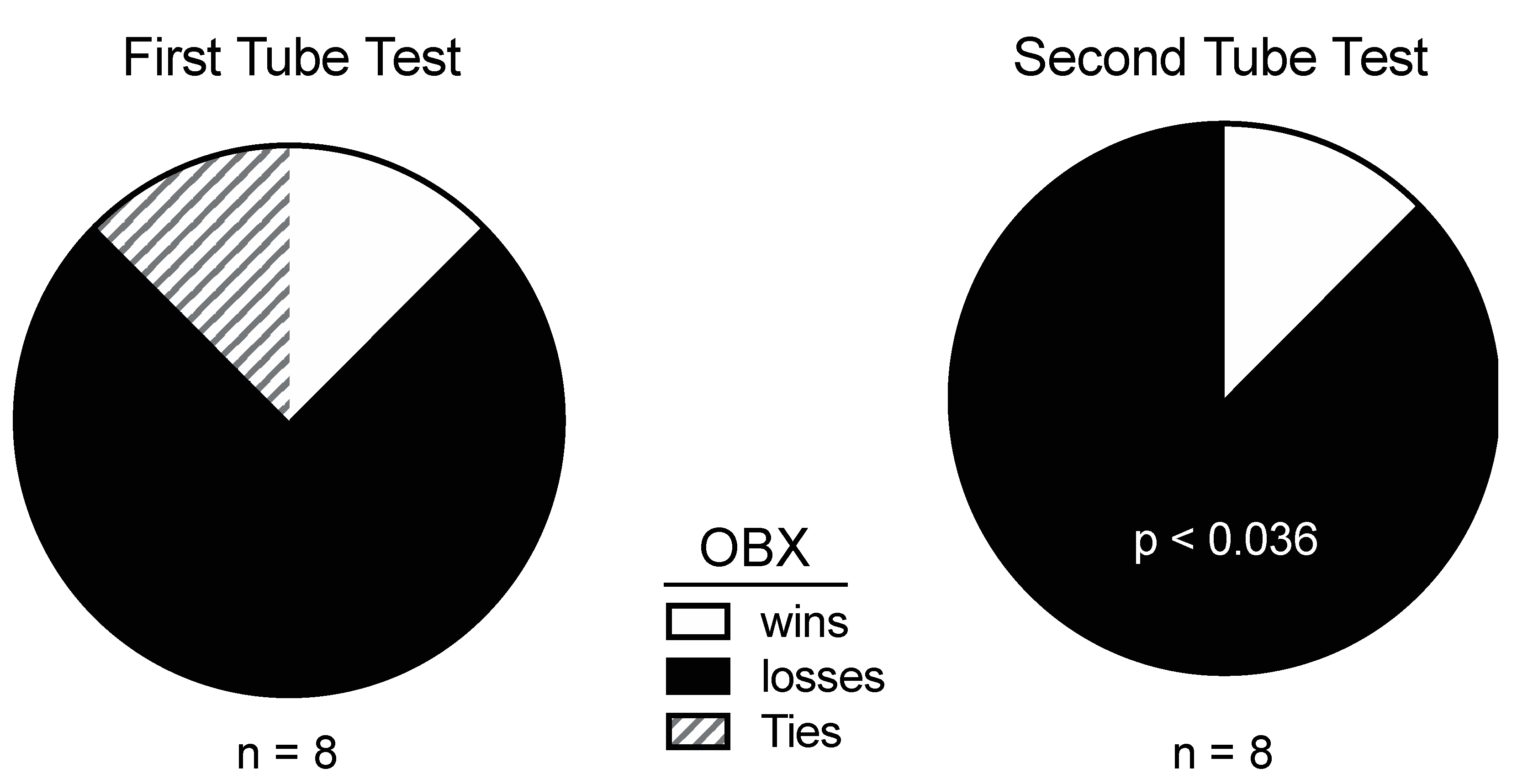 Brainsci 15 00775 g003
