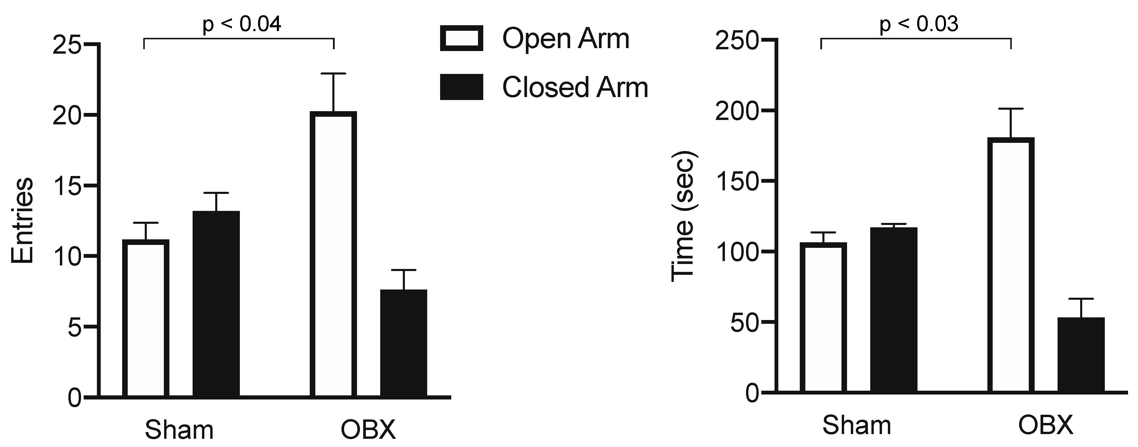 Brainsci 15 00775 g006