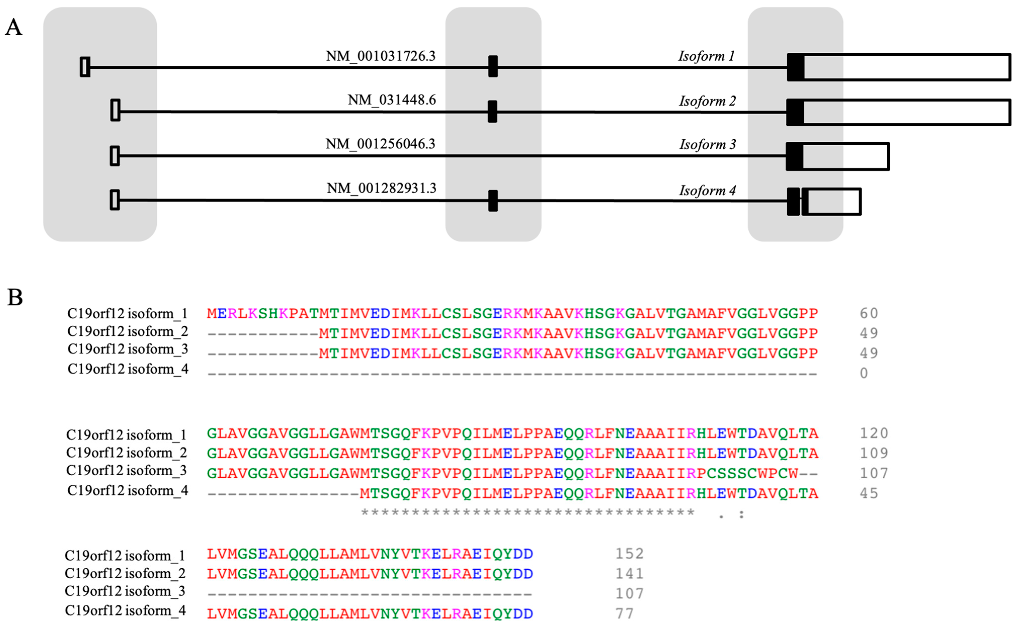 Brainsci 15 00777 g002
