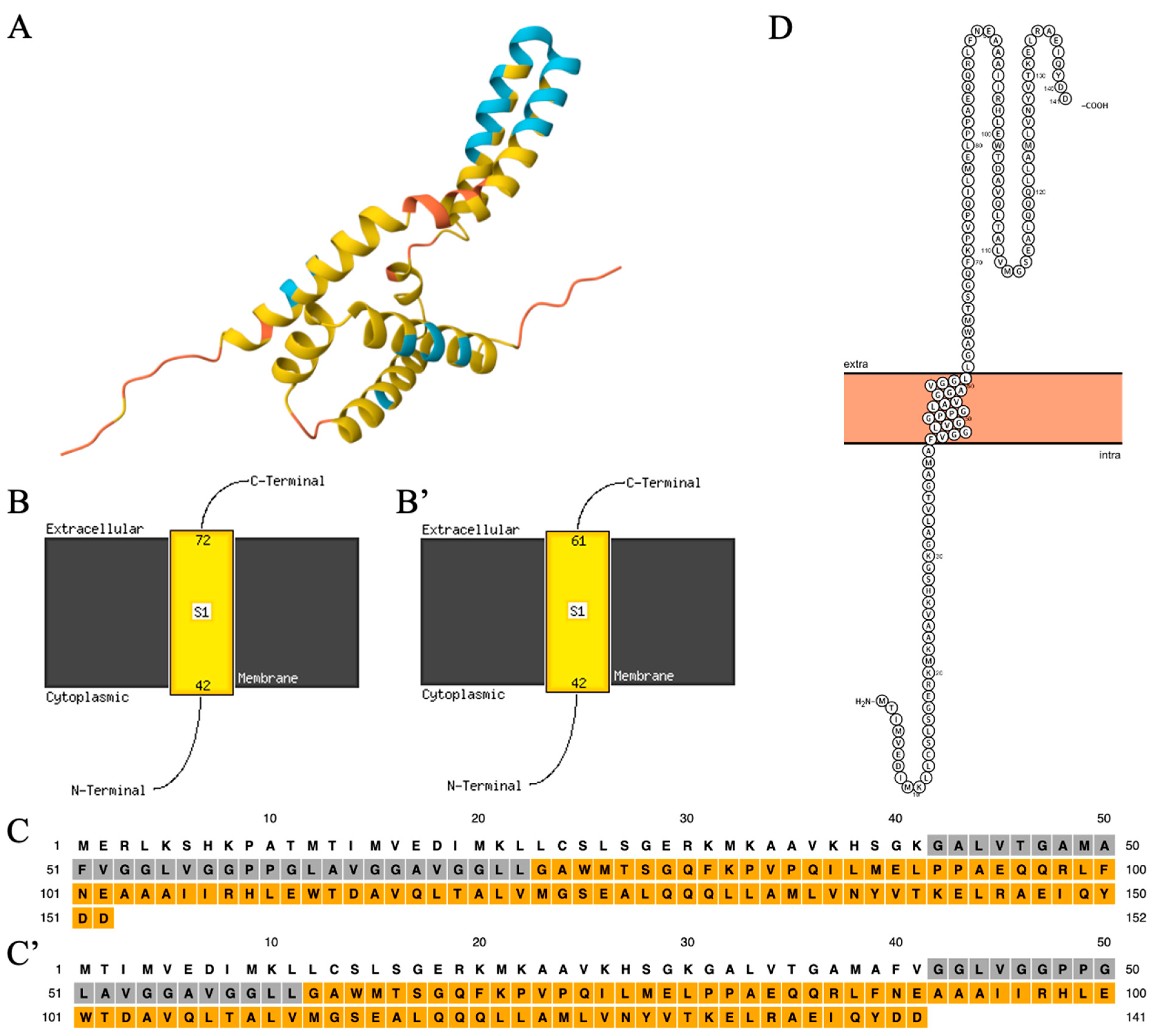 Brainsci 15 00777 g003