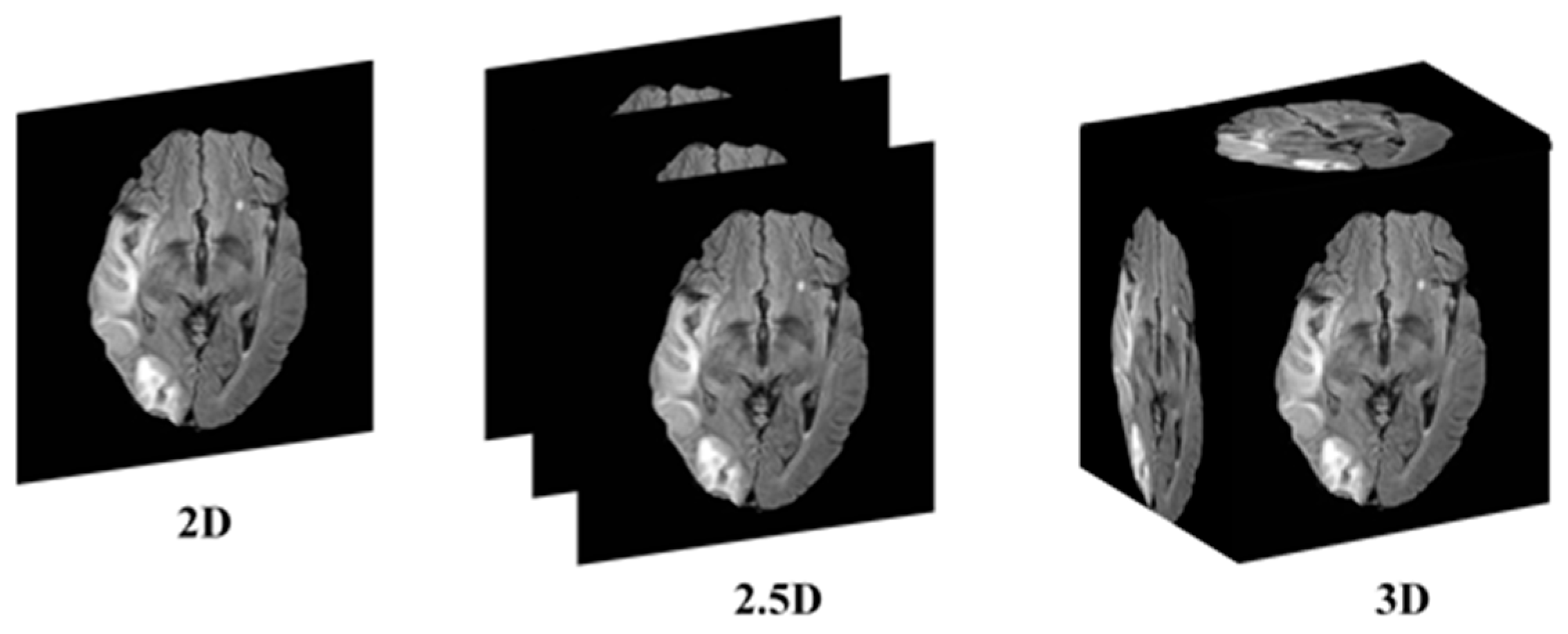 Brainsci 15 00778 g001