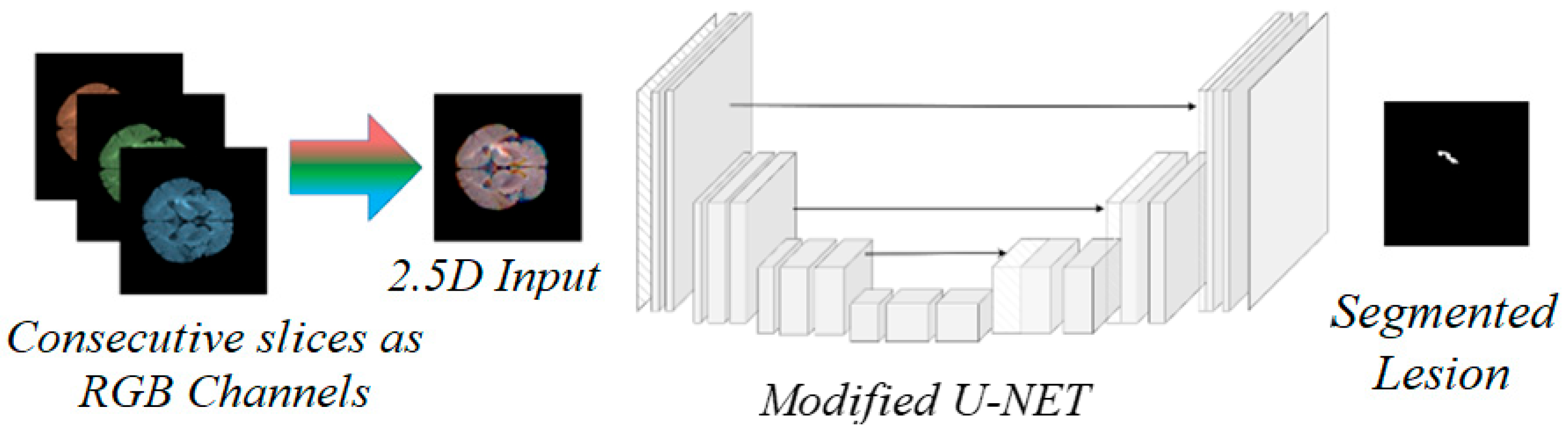 Brainsci 15 00778 g002