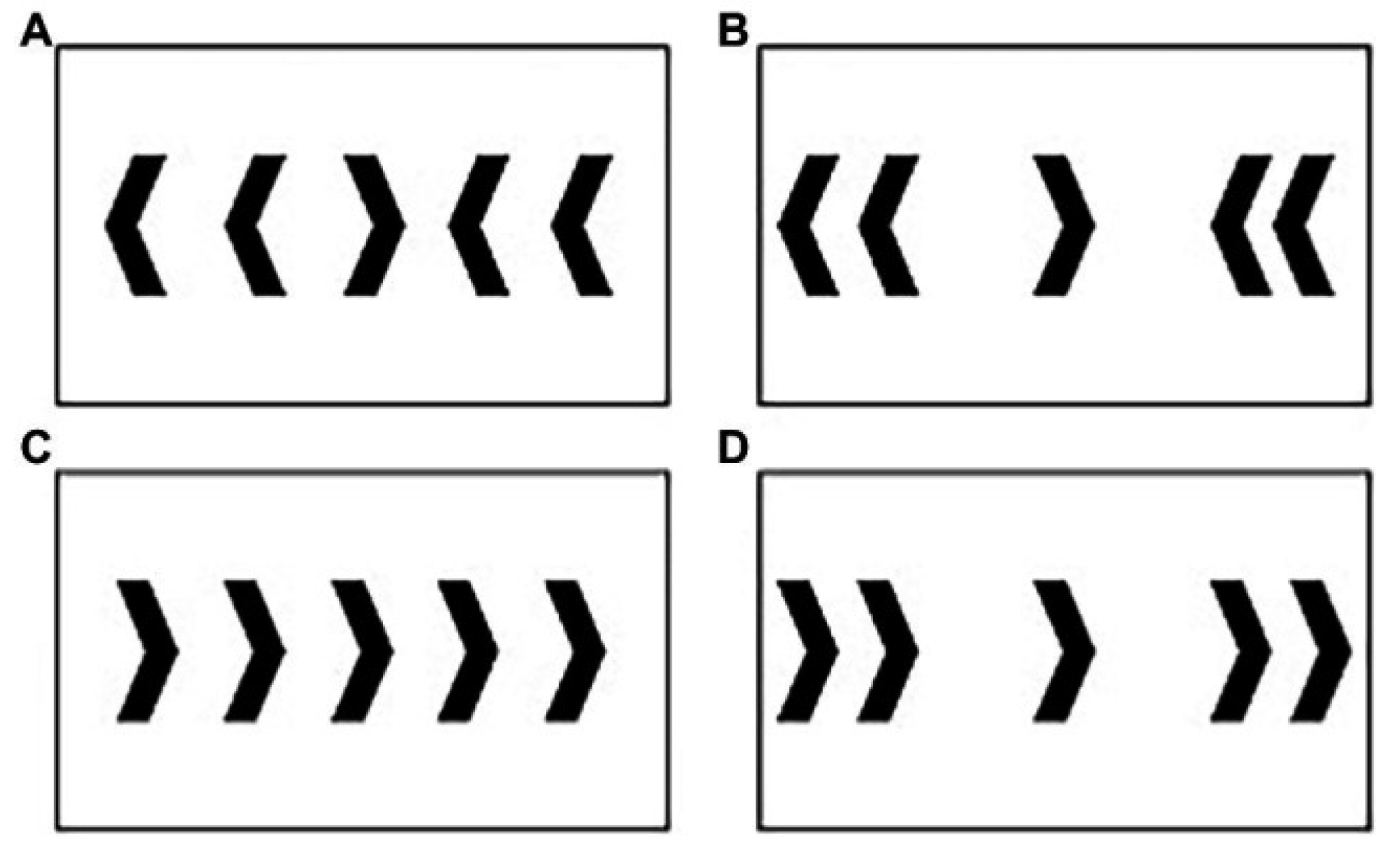 Brainsci 15 00783 g001