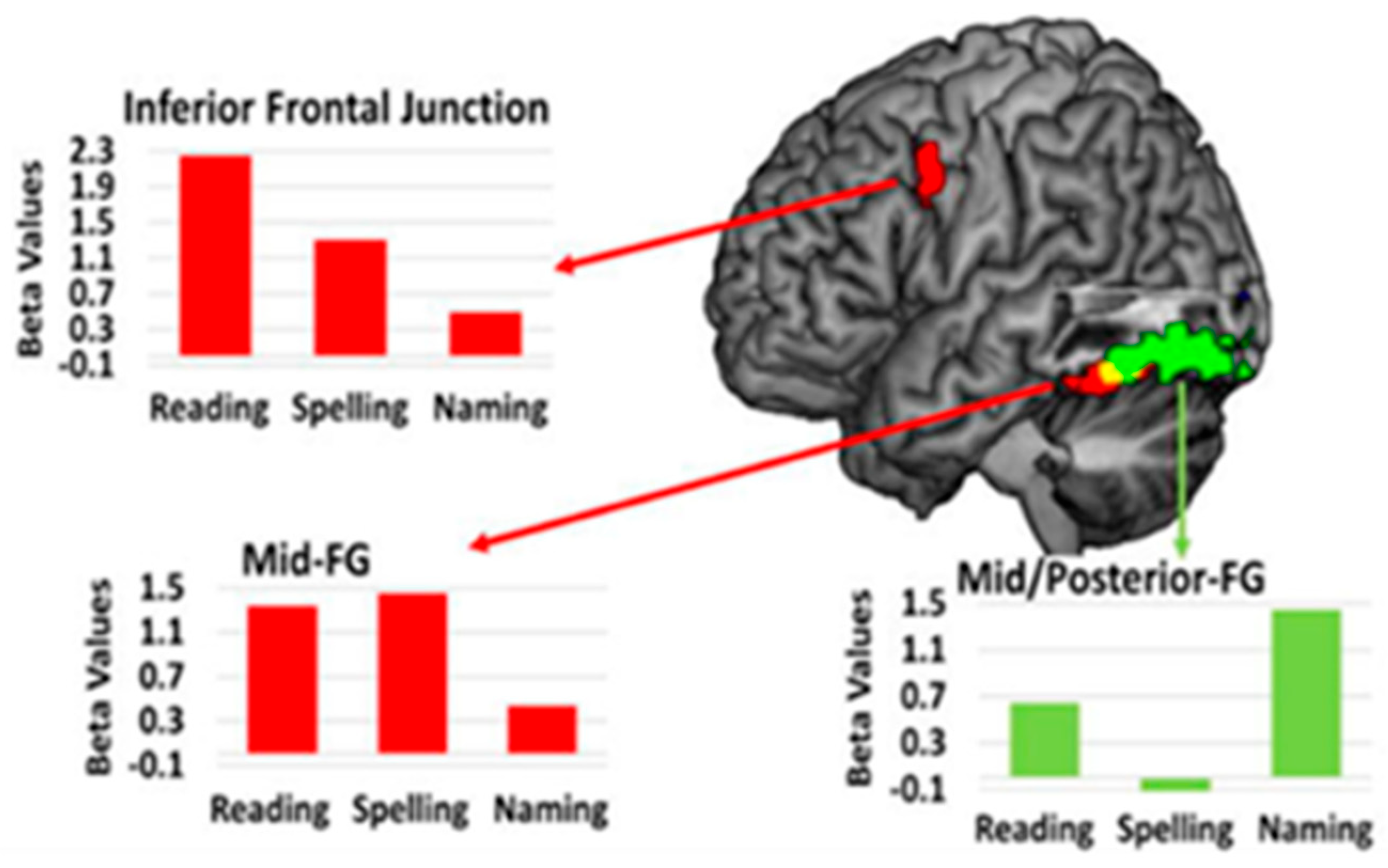 Brainsci 15 00790 g005