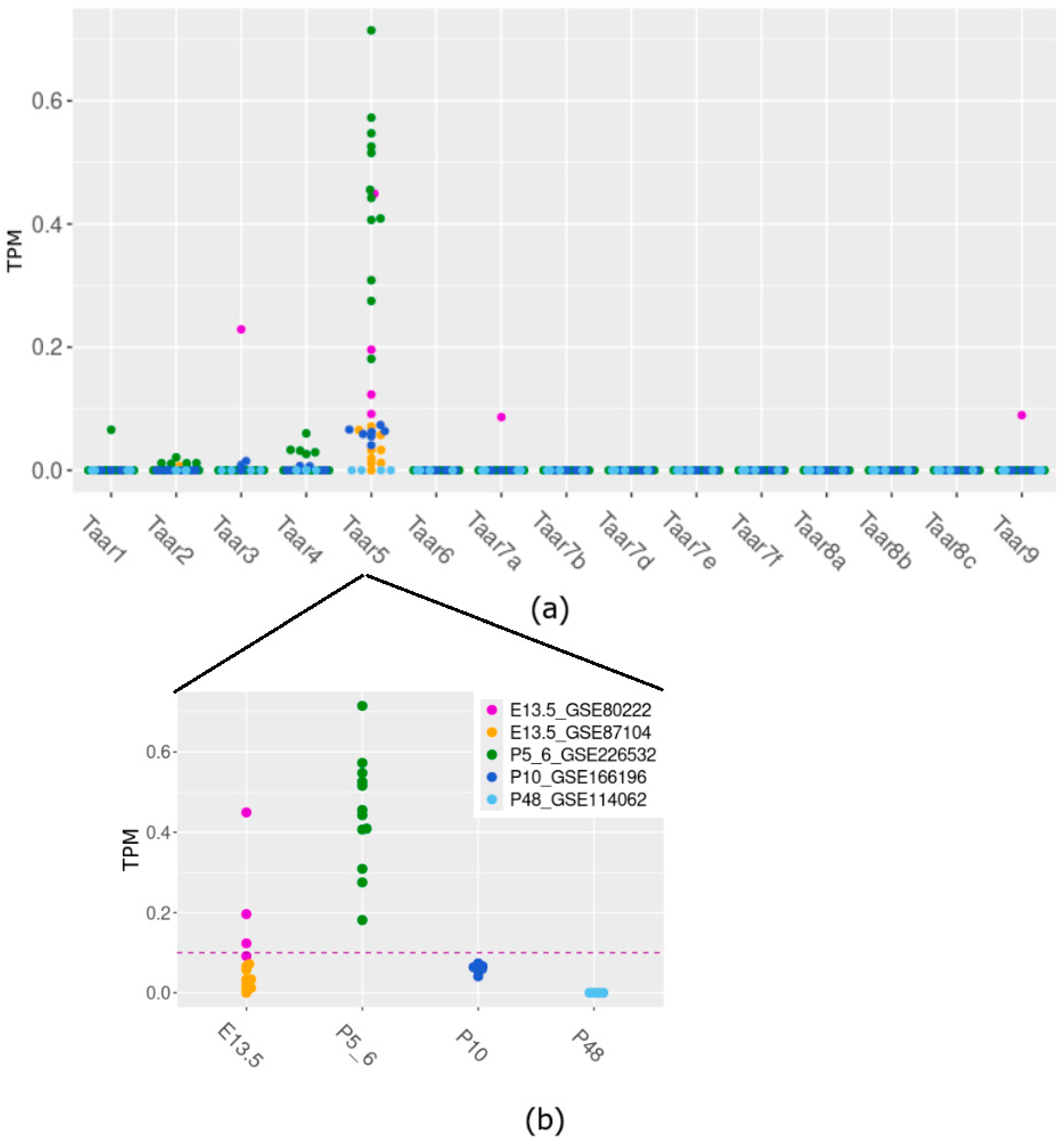 Brainsci 15 00791 g001