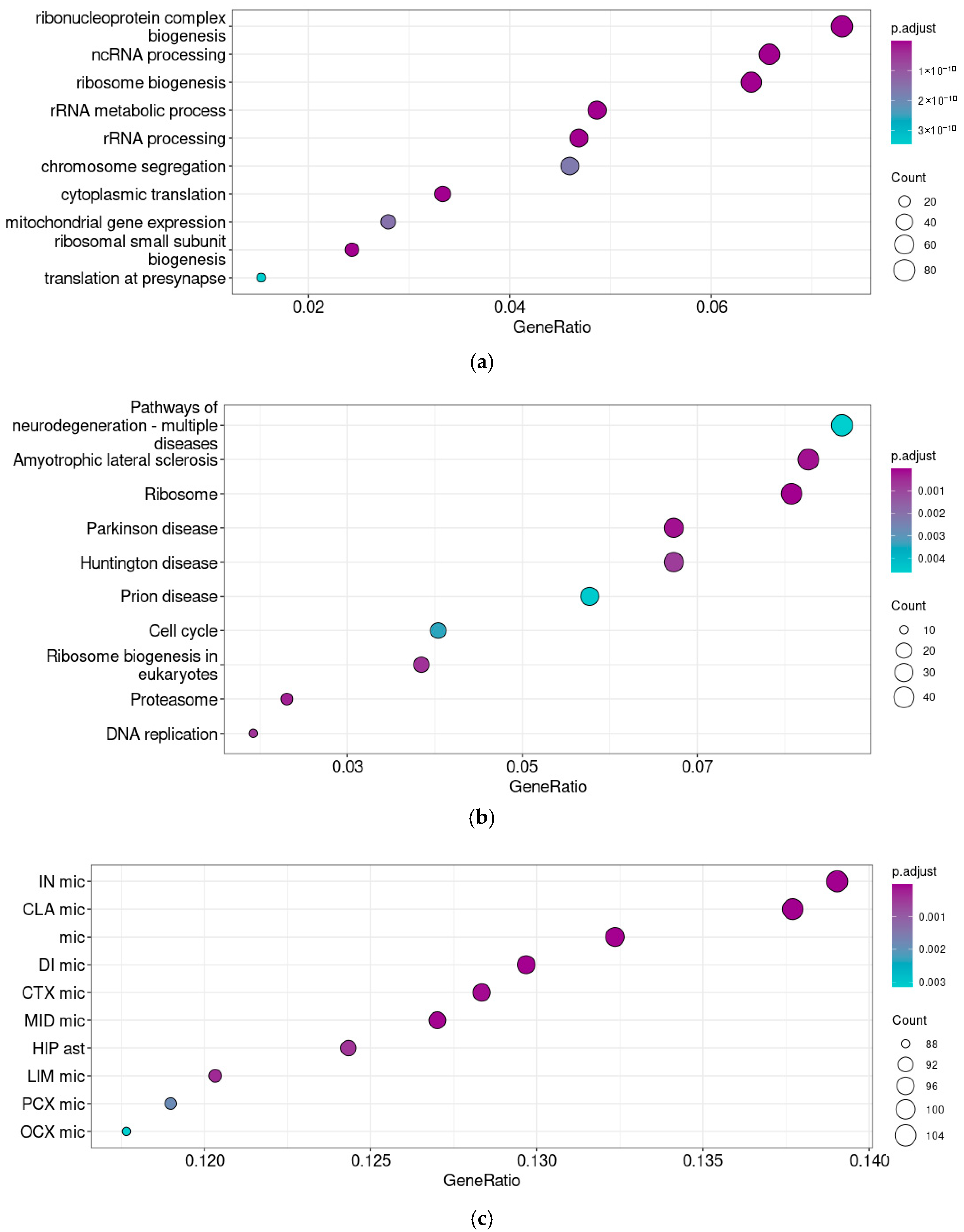 Brainsci 15 00791 g004