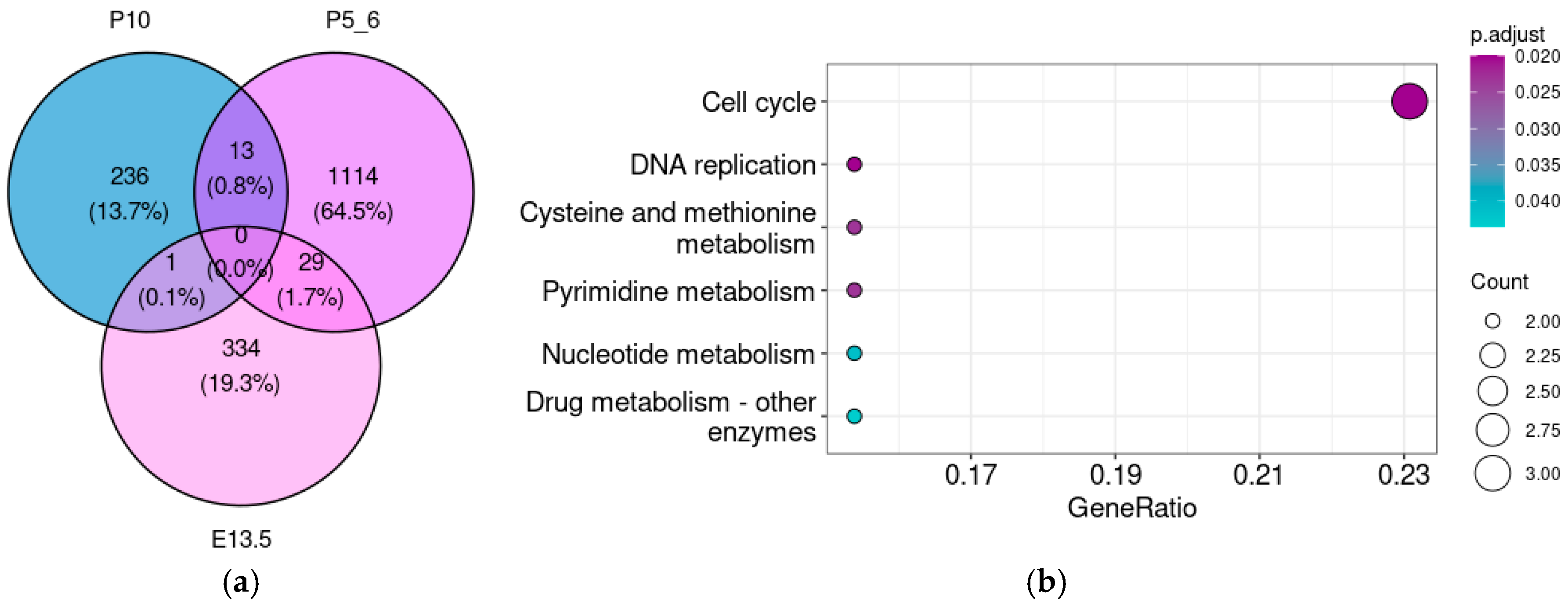 Brainsci 15 00791 g006a