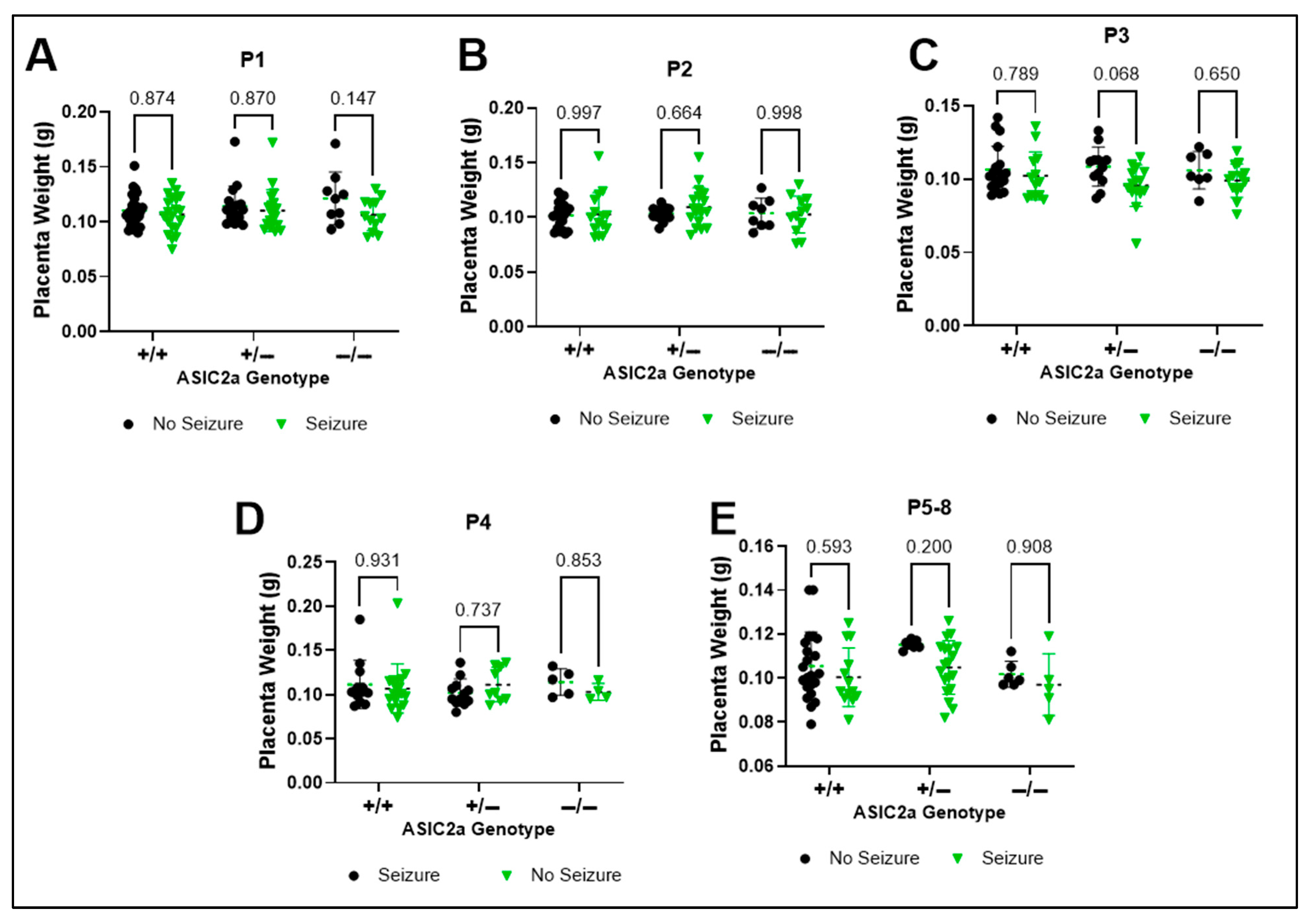 Brainsci 15 00802 g006