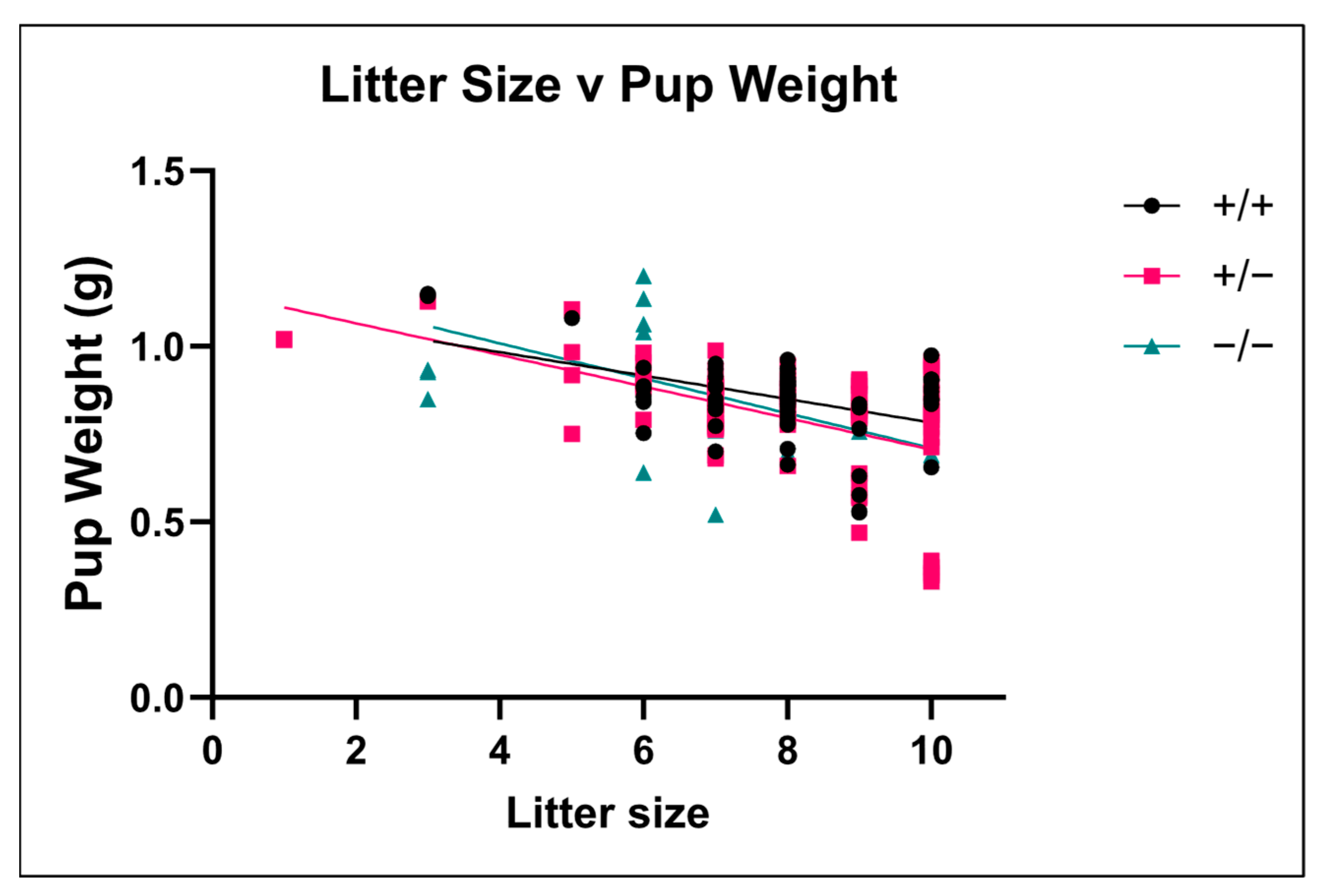 Brainsci 15 00802 g007