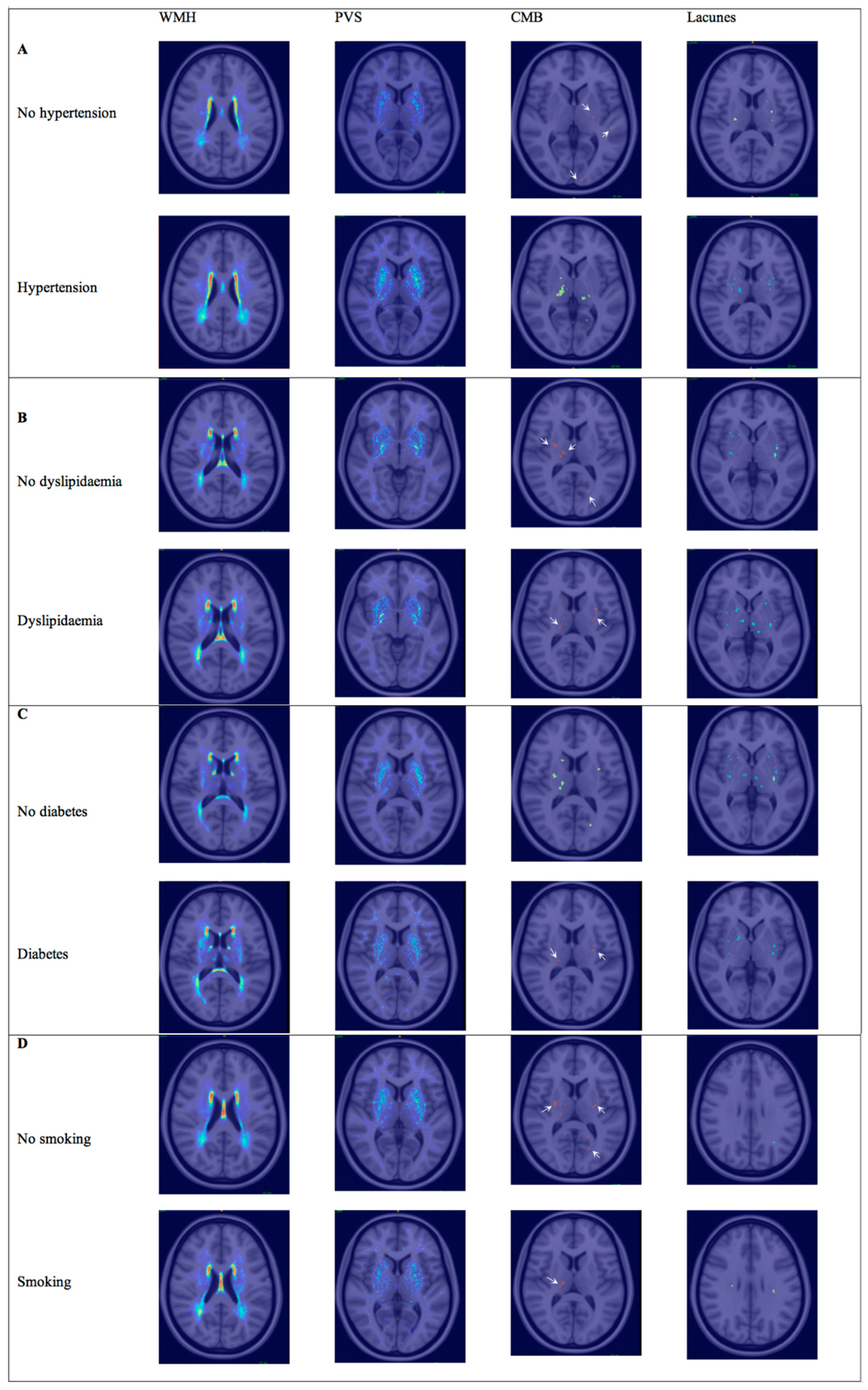 Brainsci 15 00804 g004