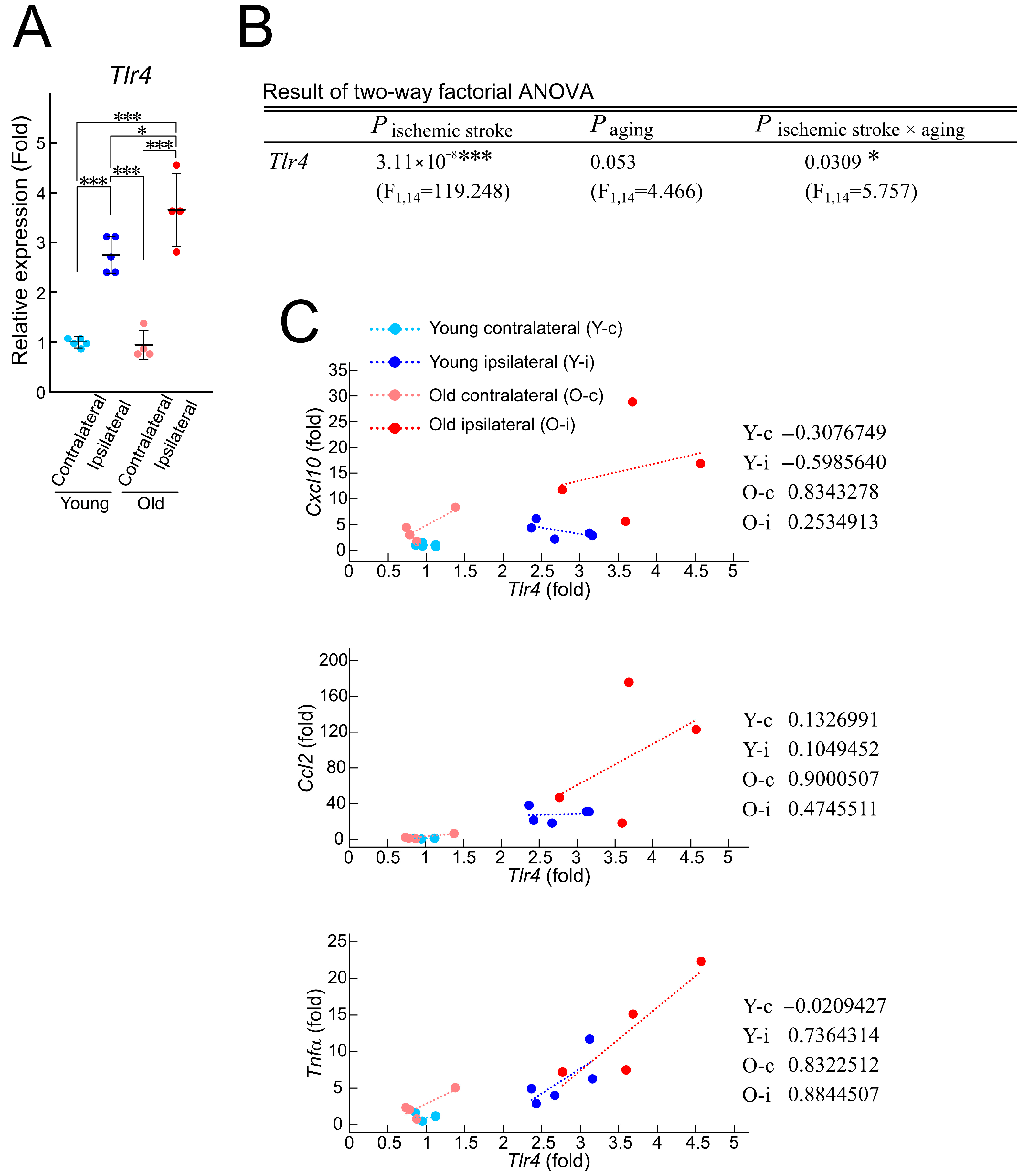 Brainsci 15 00810 g004