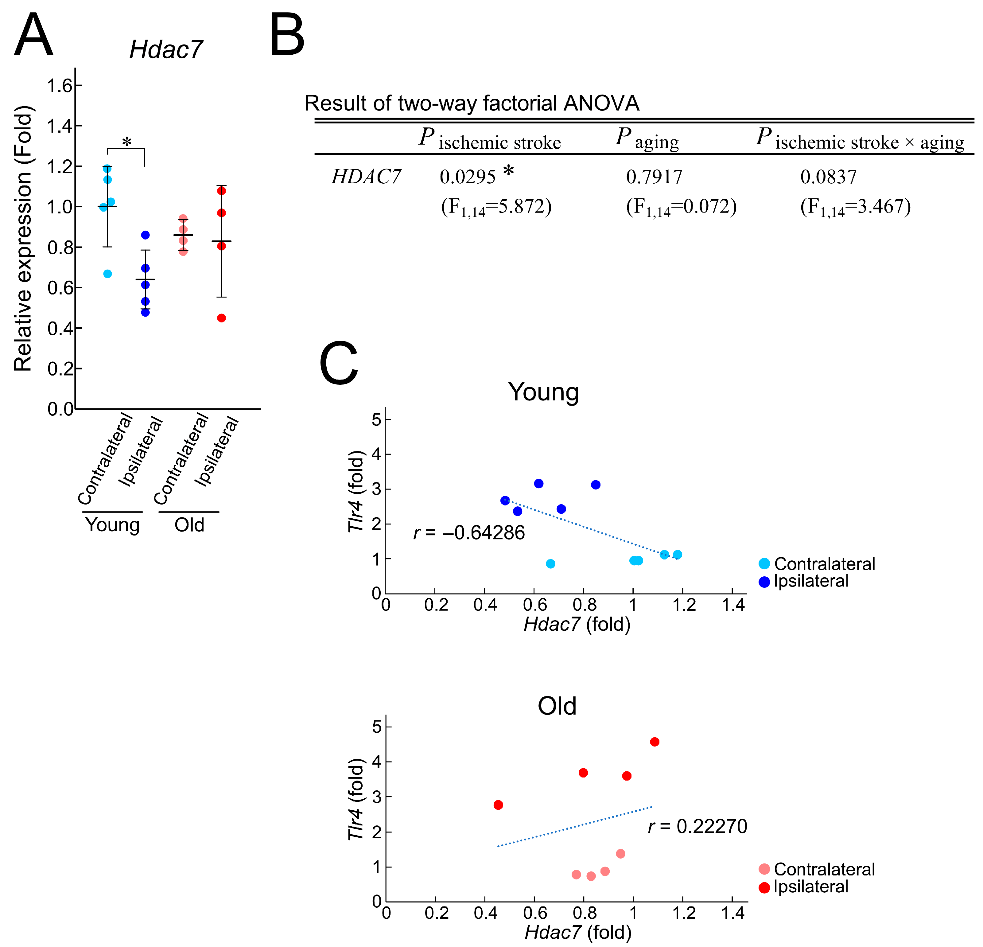 Brainsci 15 00810 g005