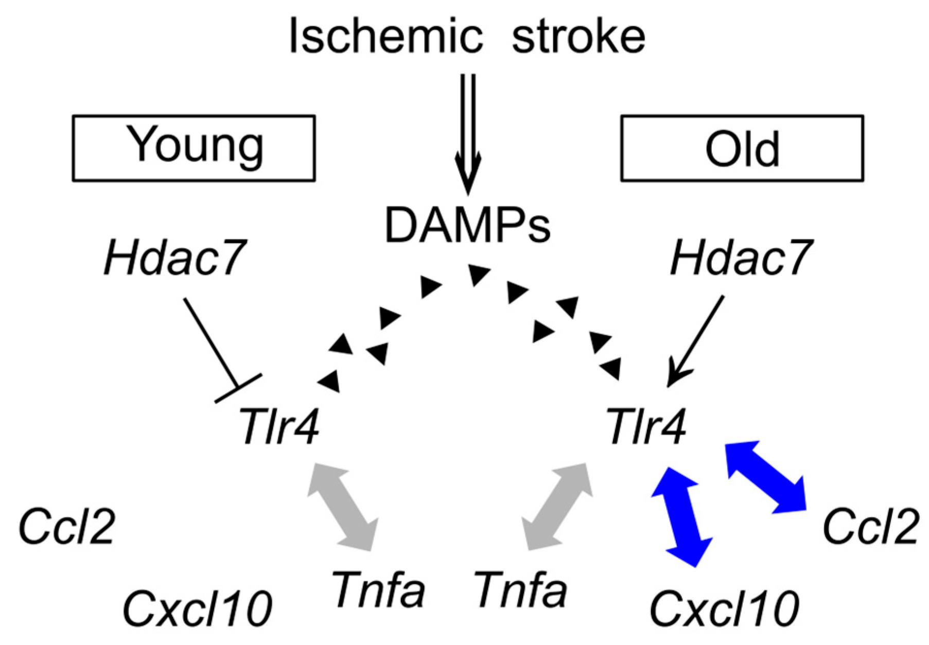 Brainsci 15 00810 g006