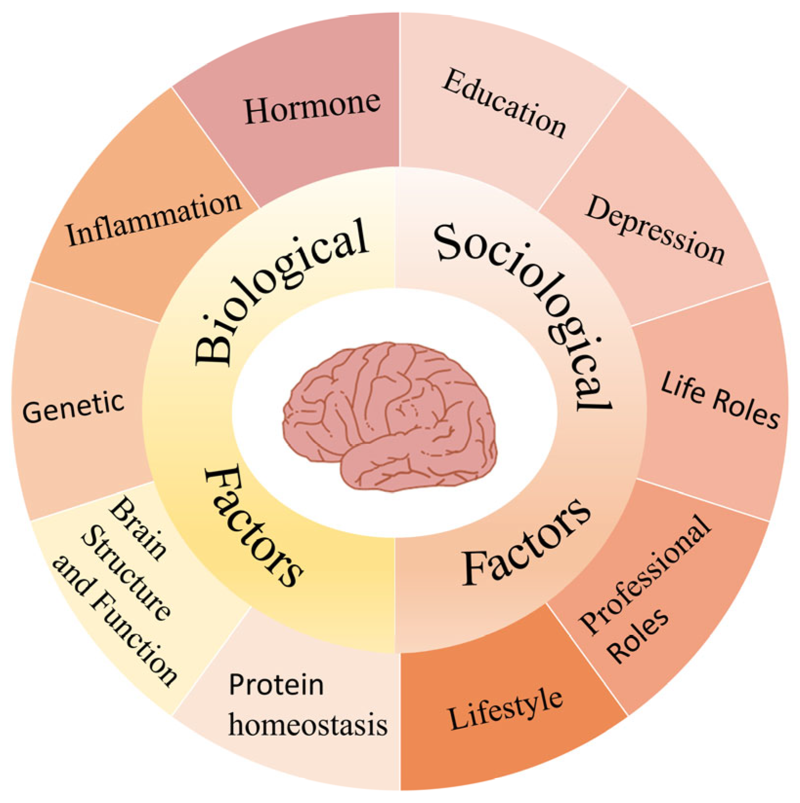 Brainsci 15 00812 g001 Brainsci 15 00812 g001