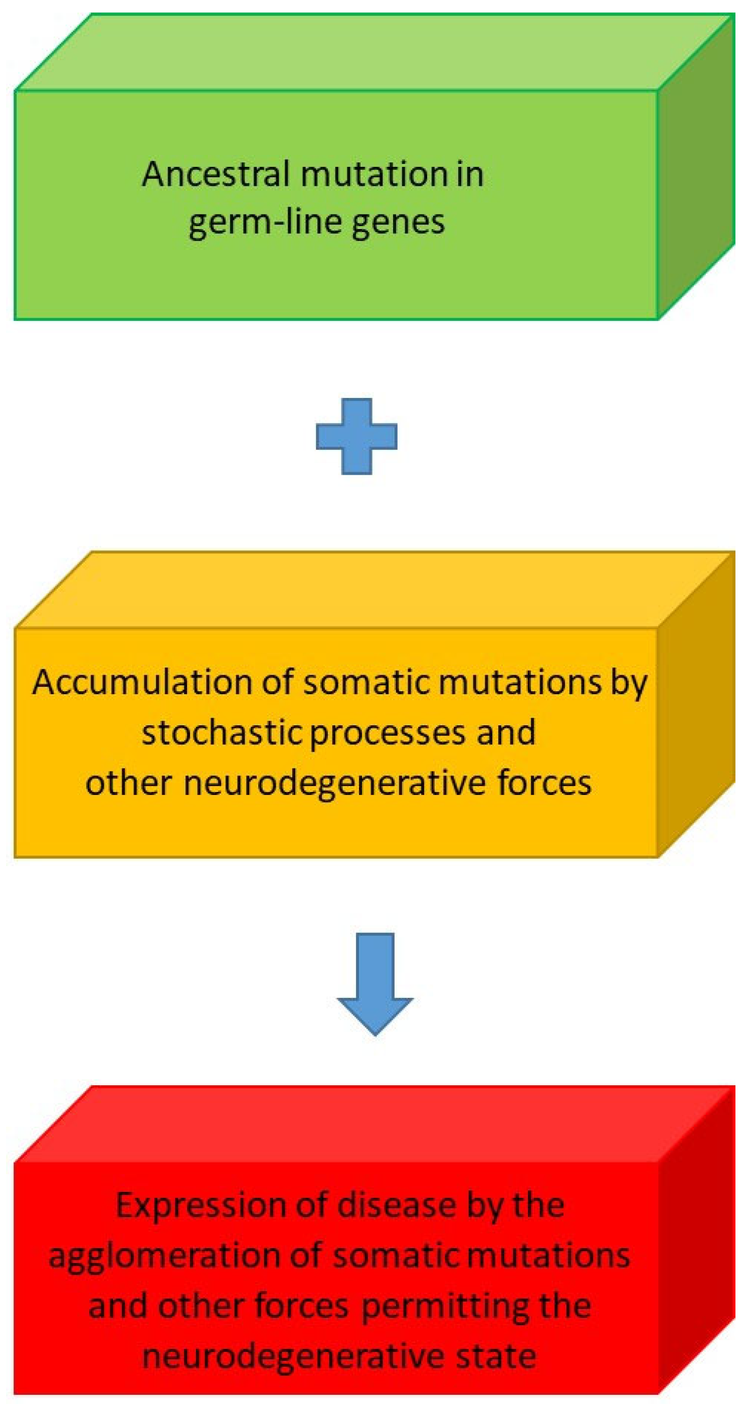 Brainsci 15 00814 g005 Brainsci 15 00814 g005