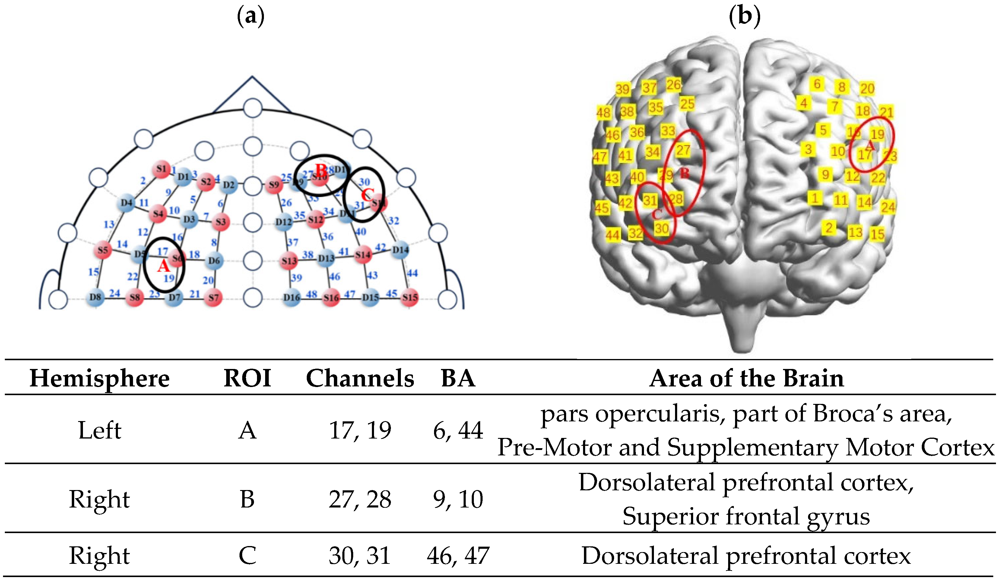 Brainsci 15 00818 g003