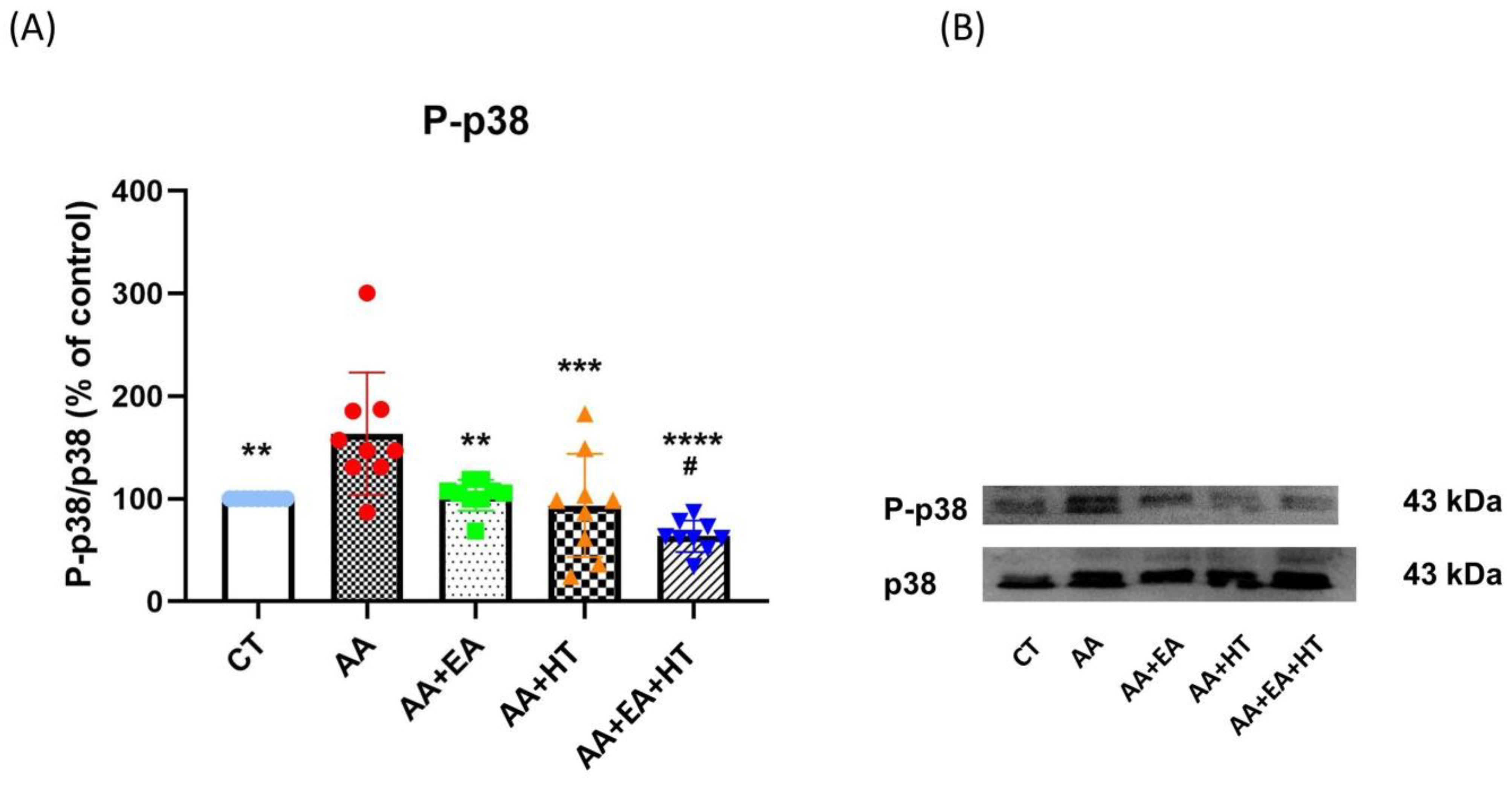 Brainsci 15 00822 g005