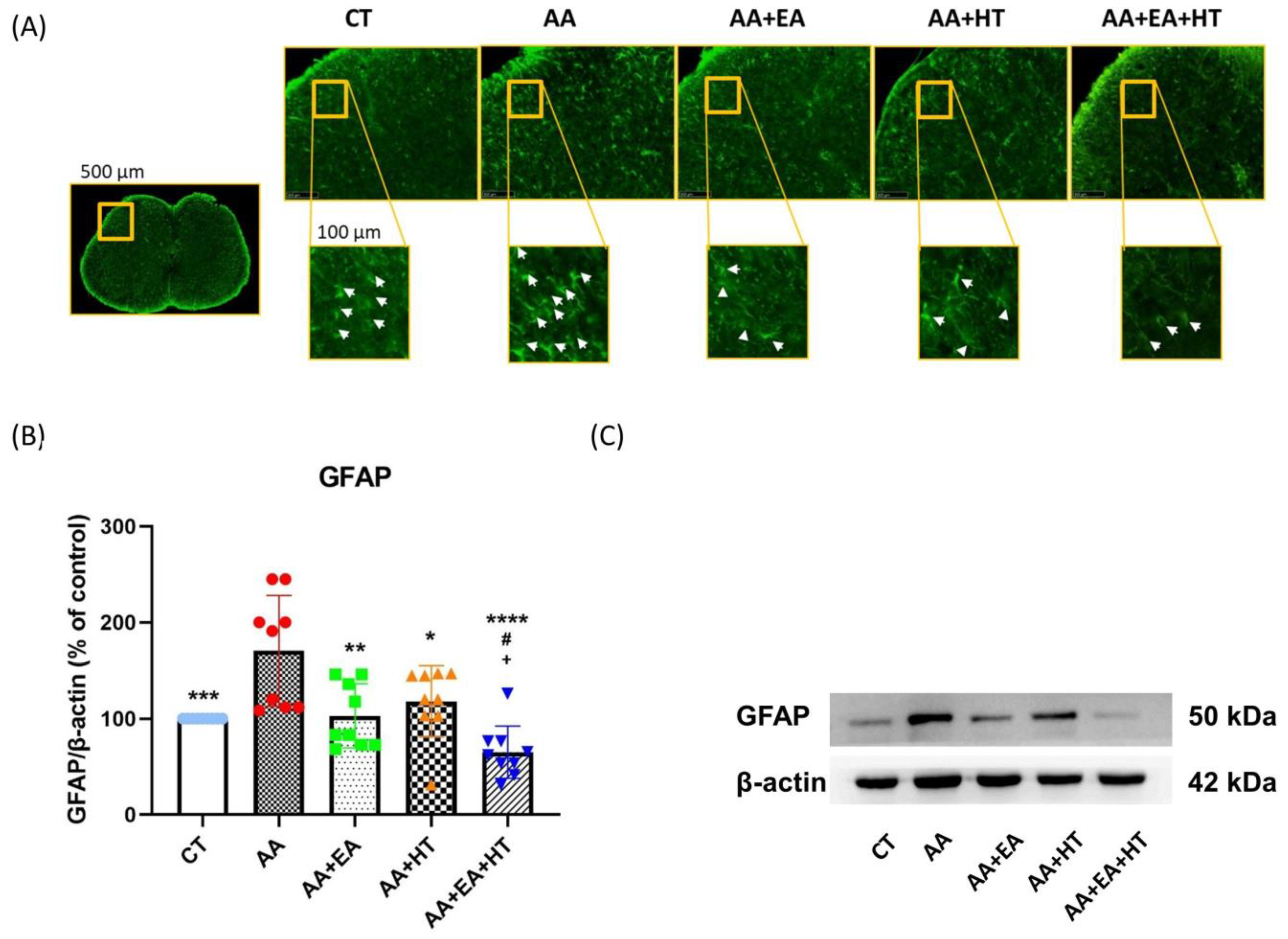 Brainsci 15 00822 g006