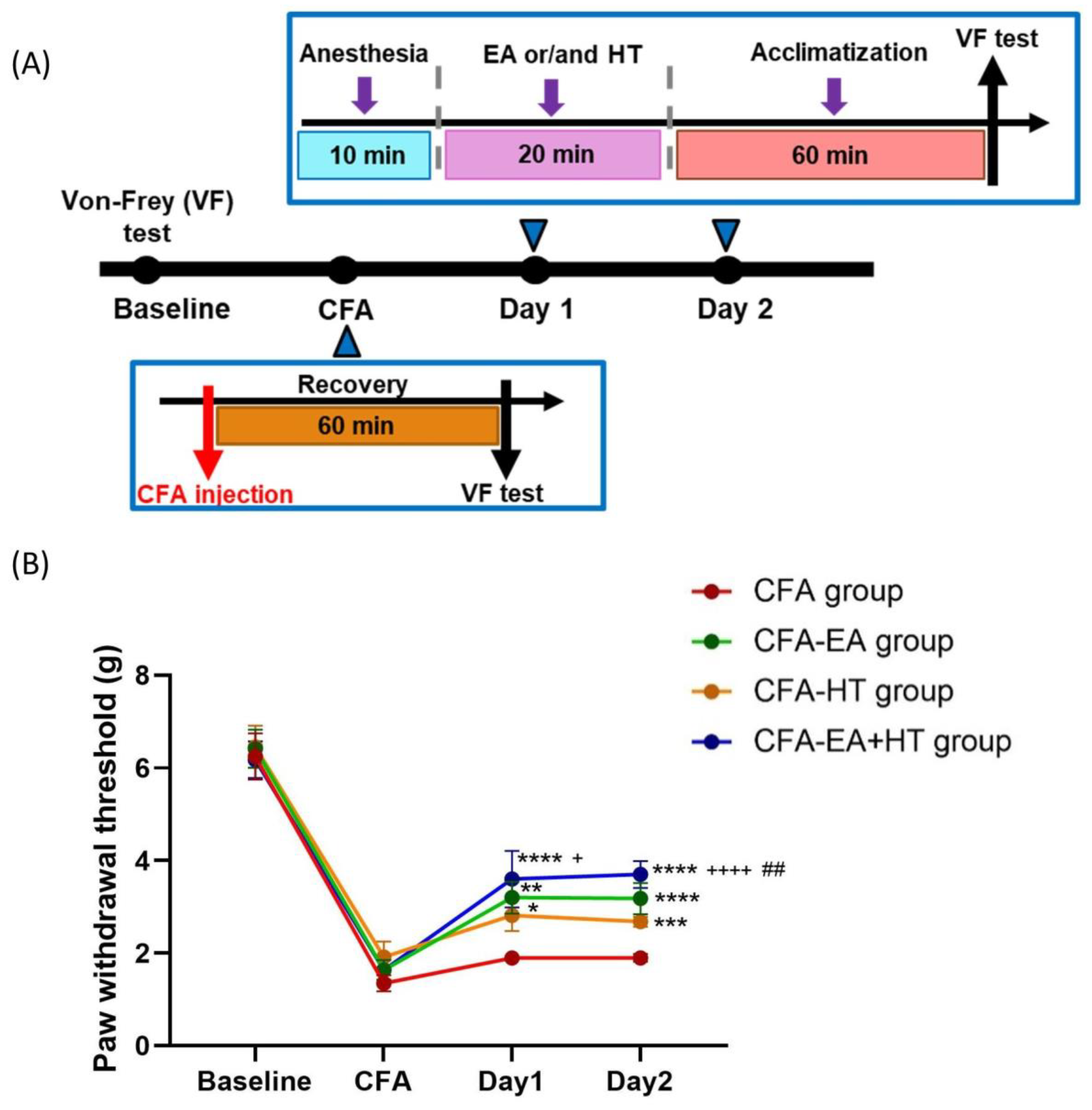 Brainsci 15 00822 g007
