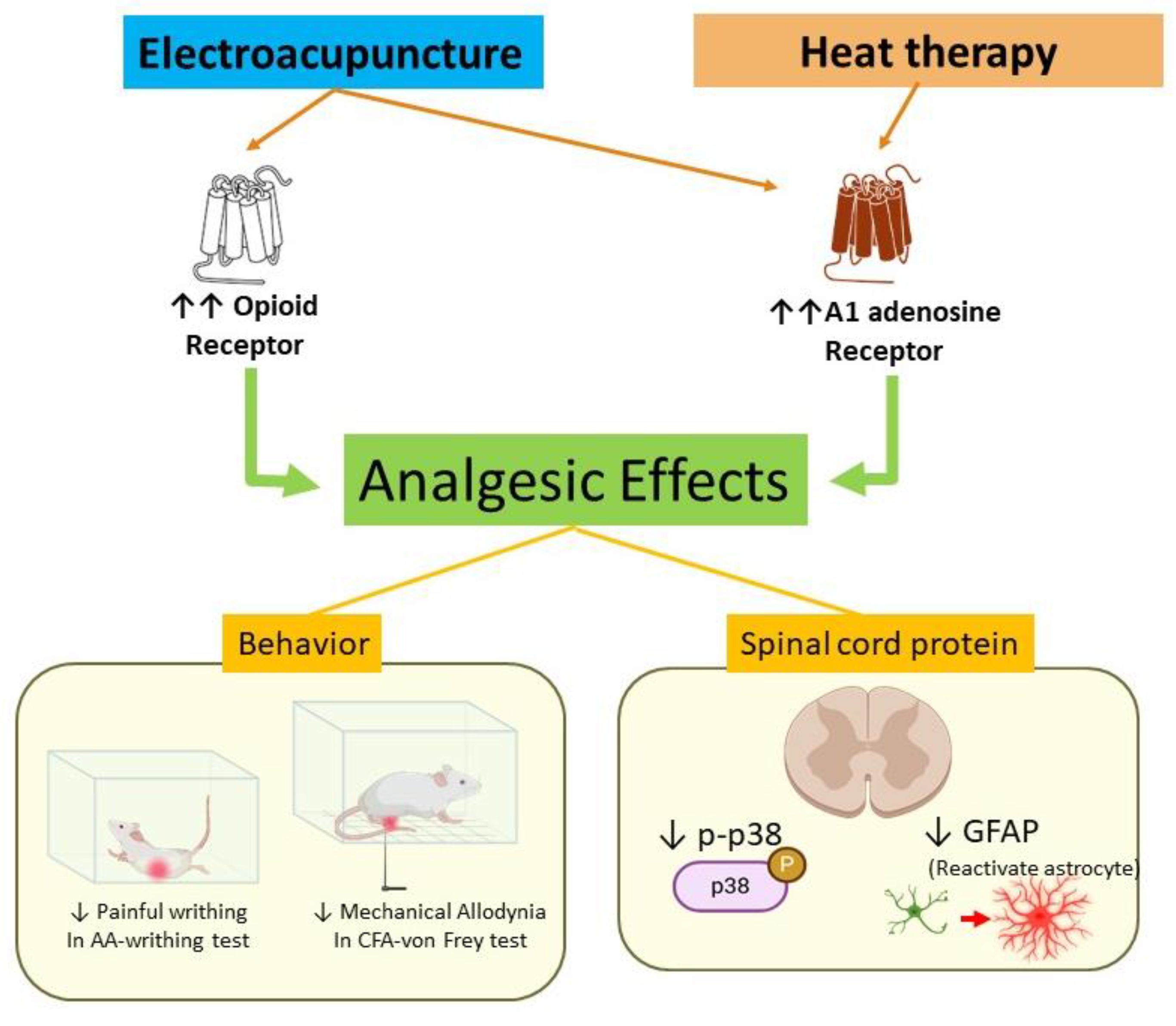 Brainsci 15 00822 g008