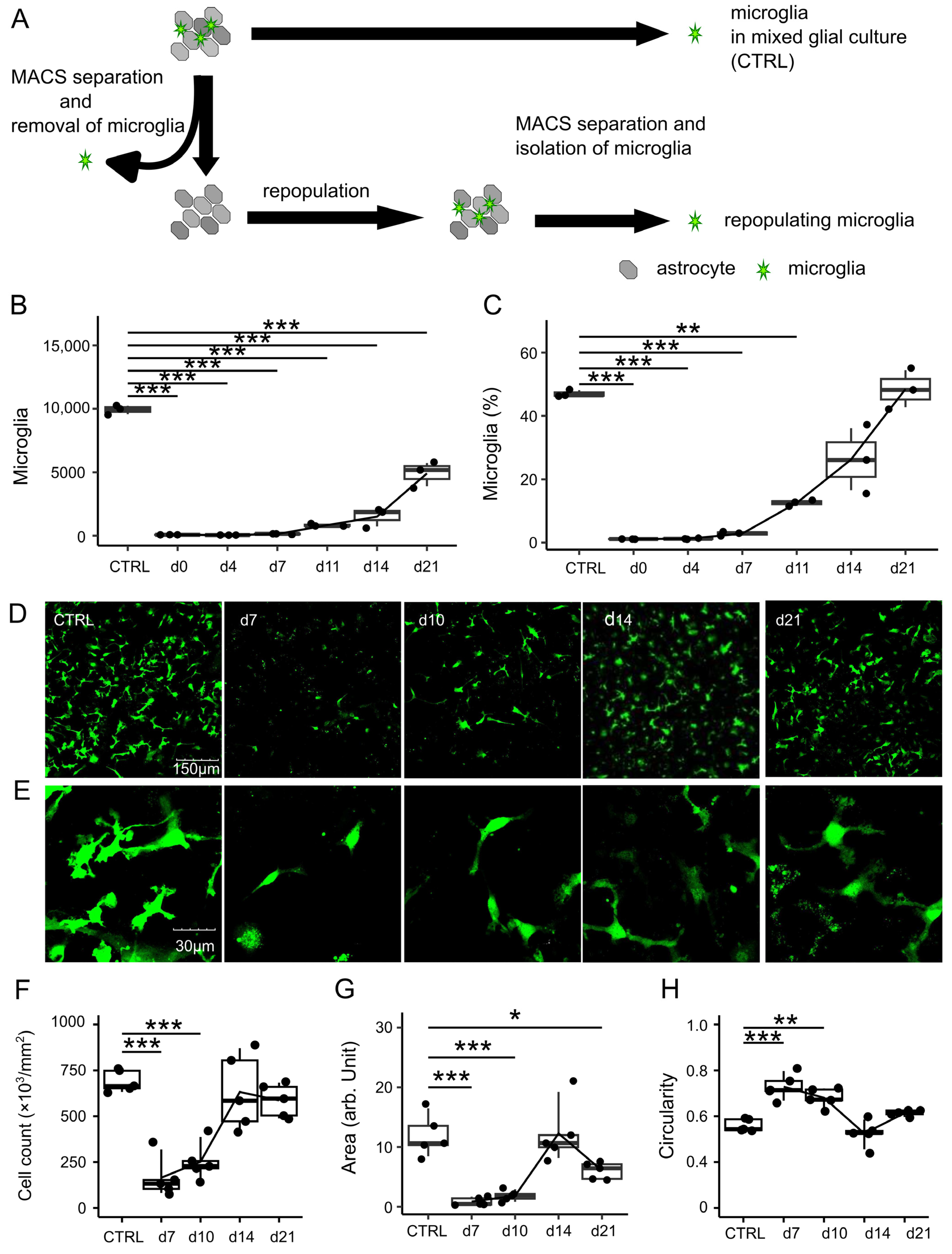 Brainsci 15 00825 g001