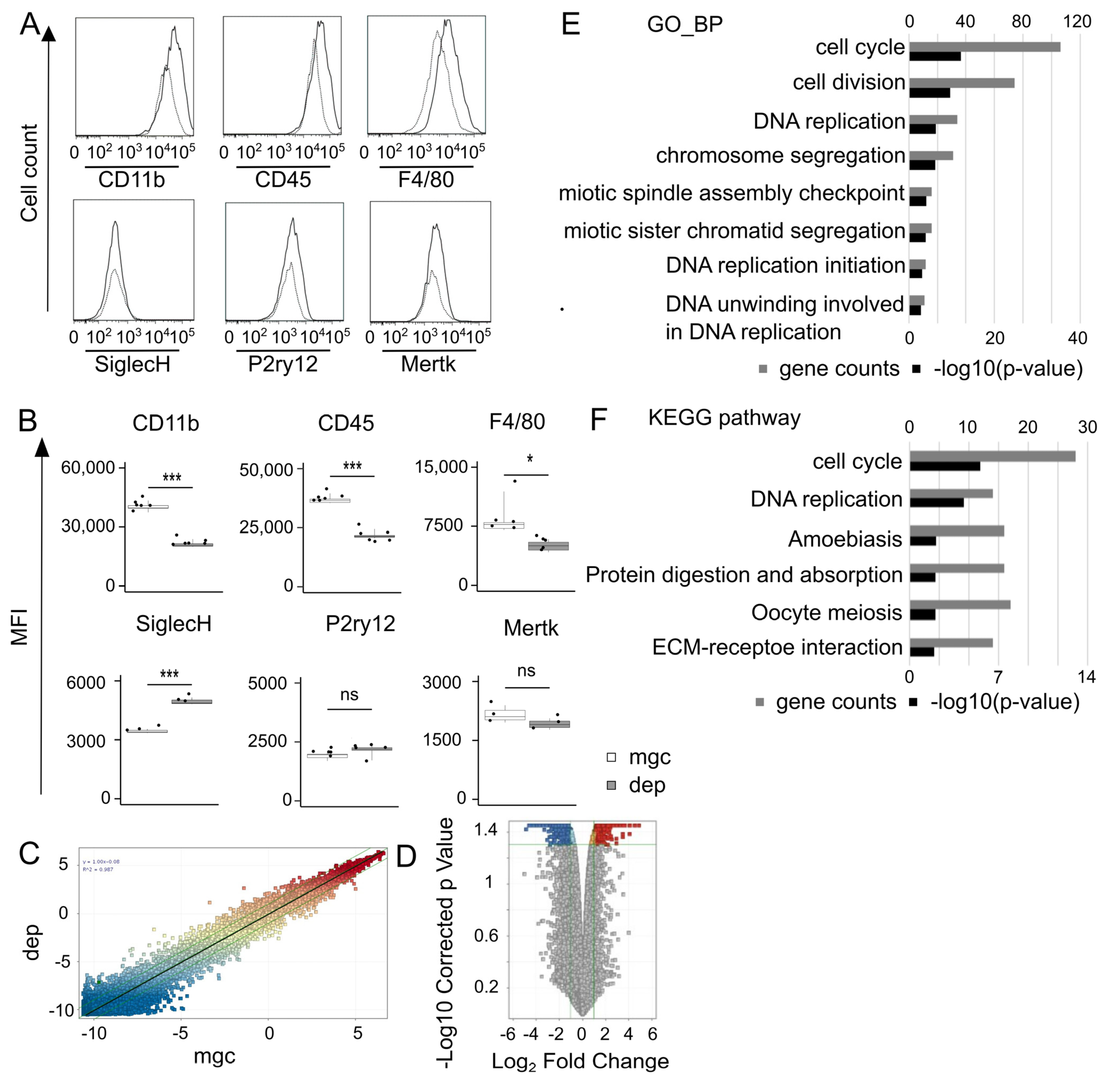Brainsci 15 00825 g002