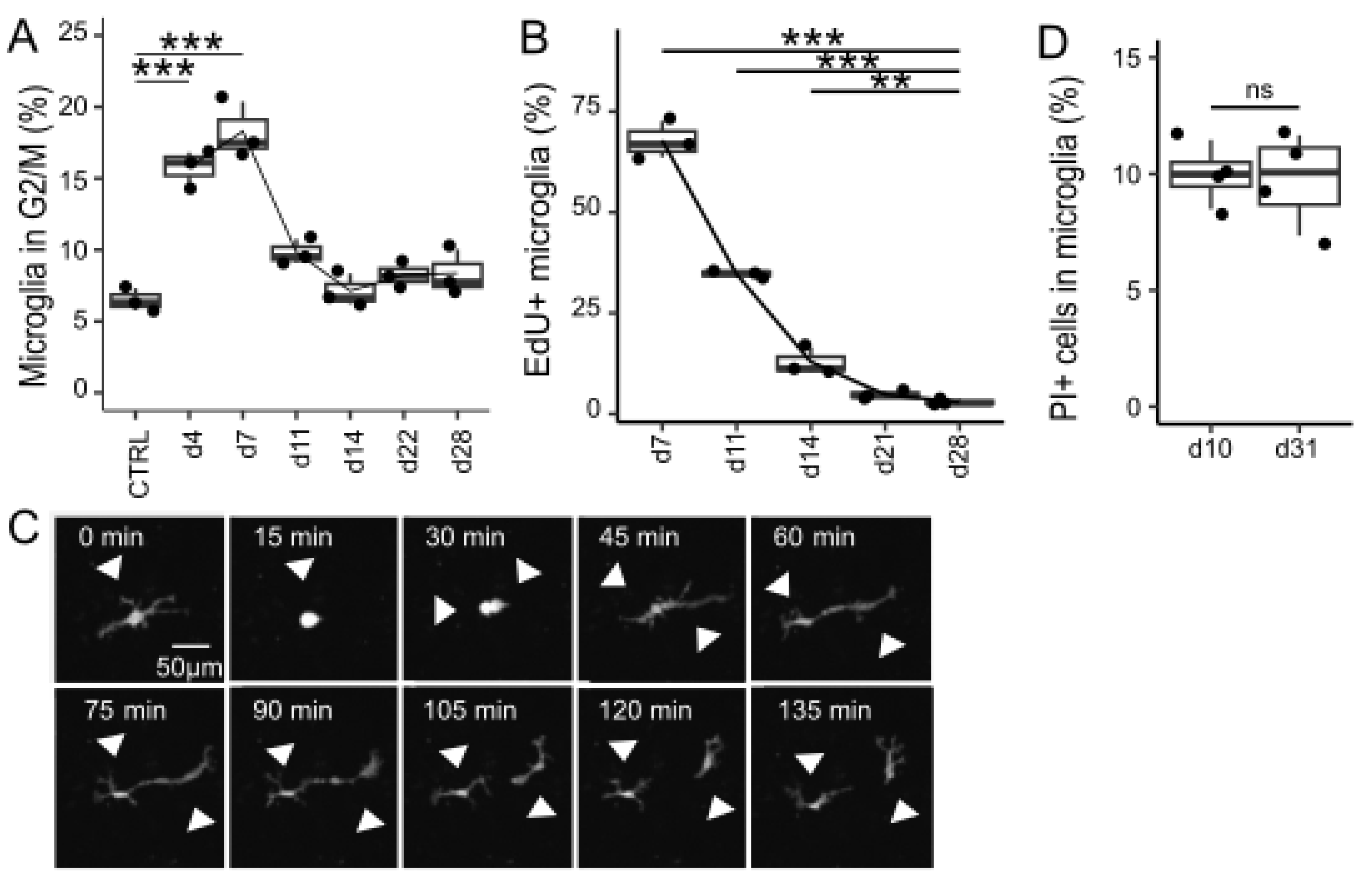 Brainsci 15 00825 g003