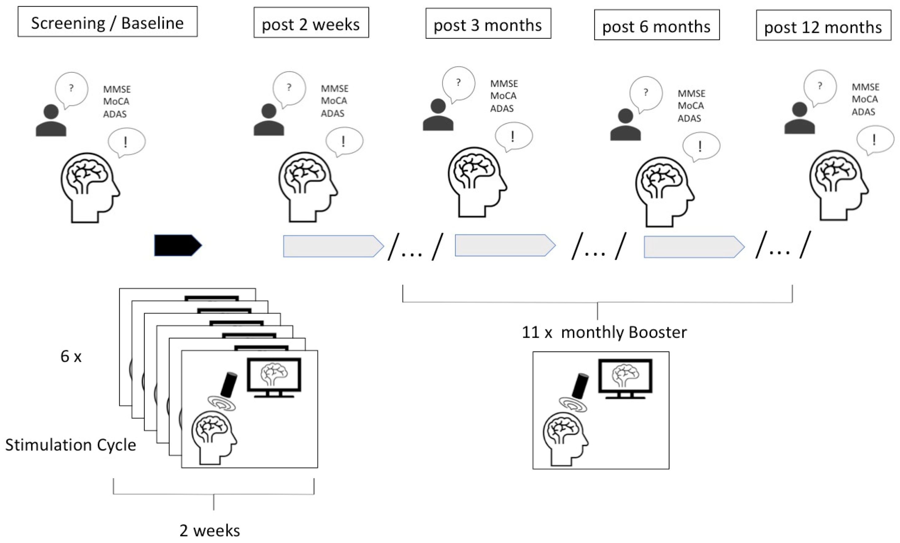 Brainsci 15 00830 g002