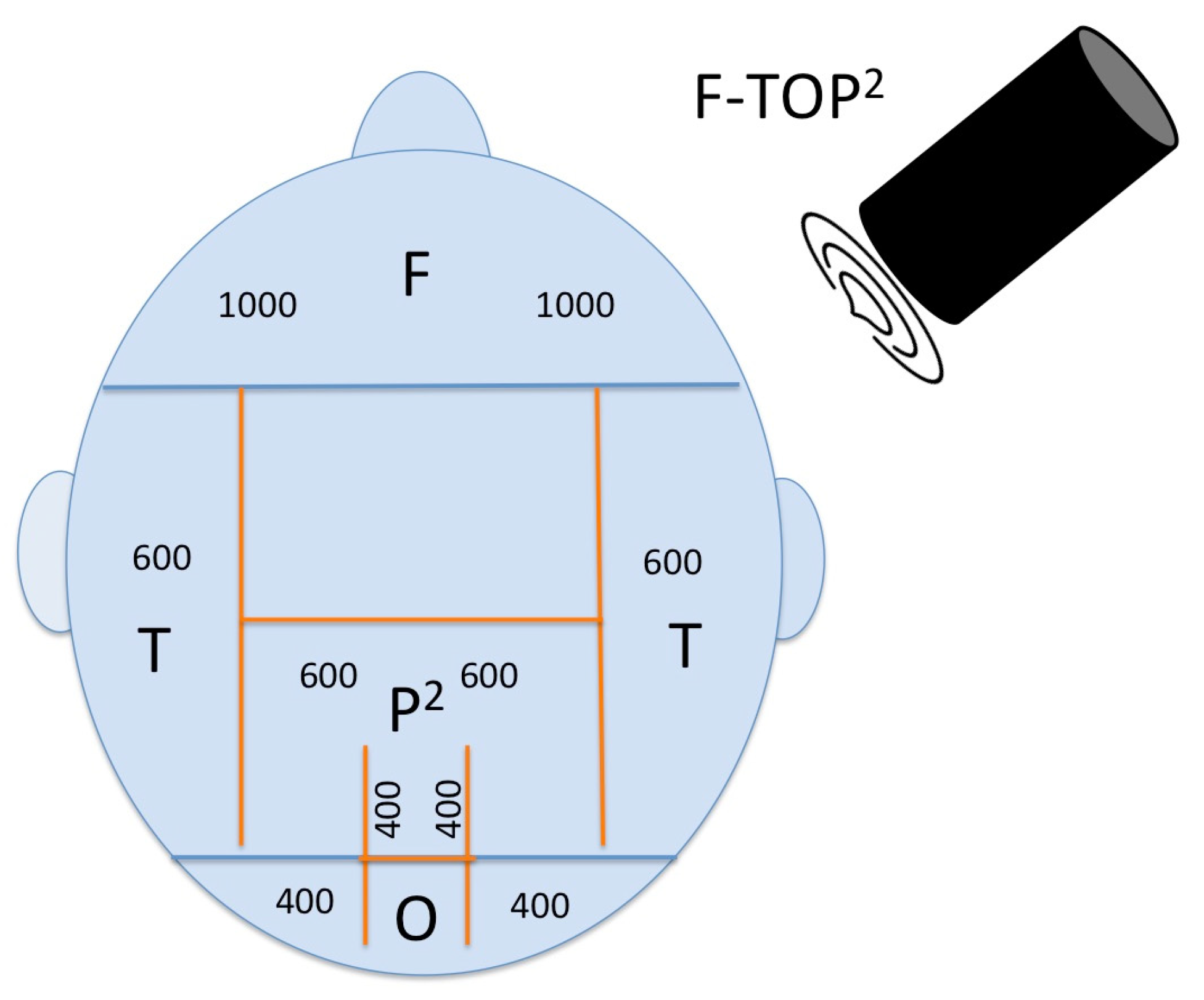 Brainsci 15 00830 g005