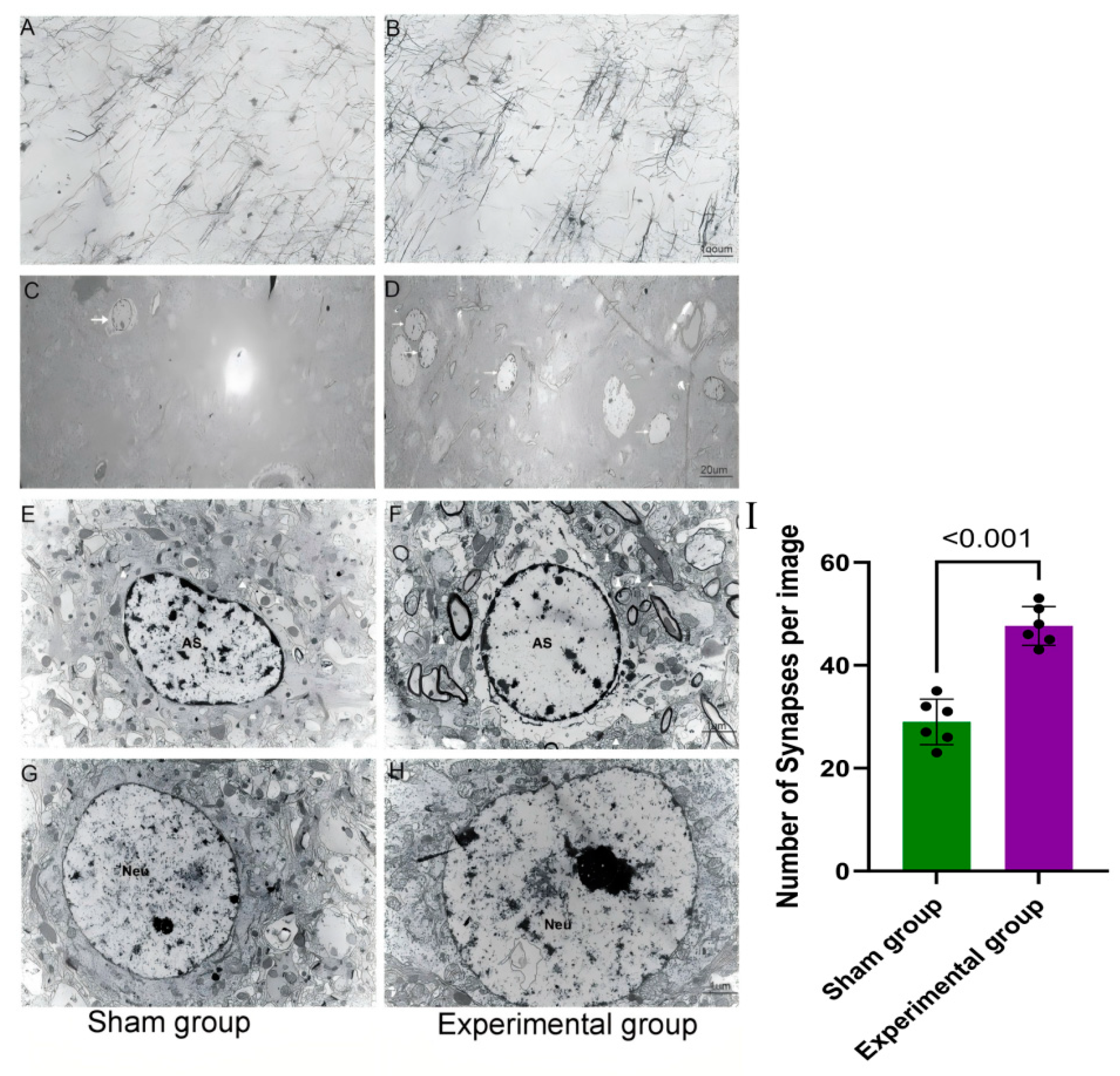 Brainsci 15 00837 g003