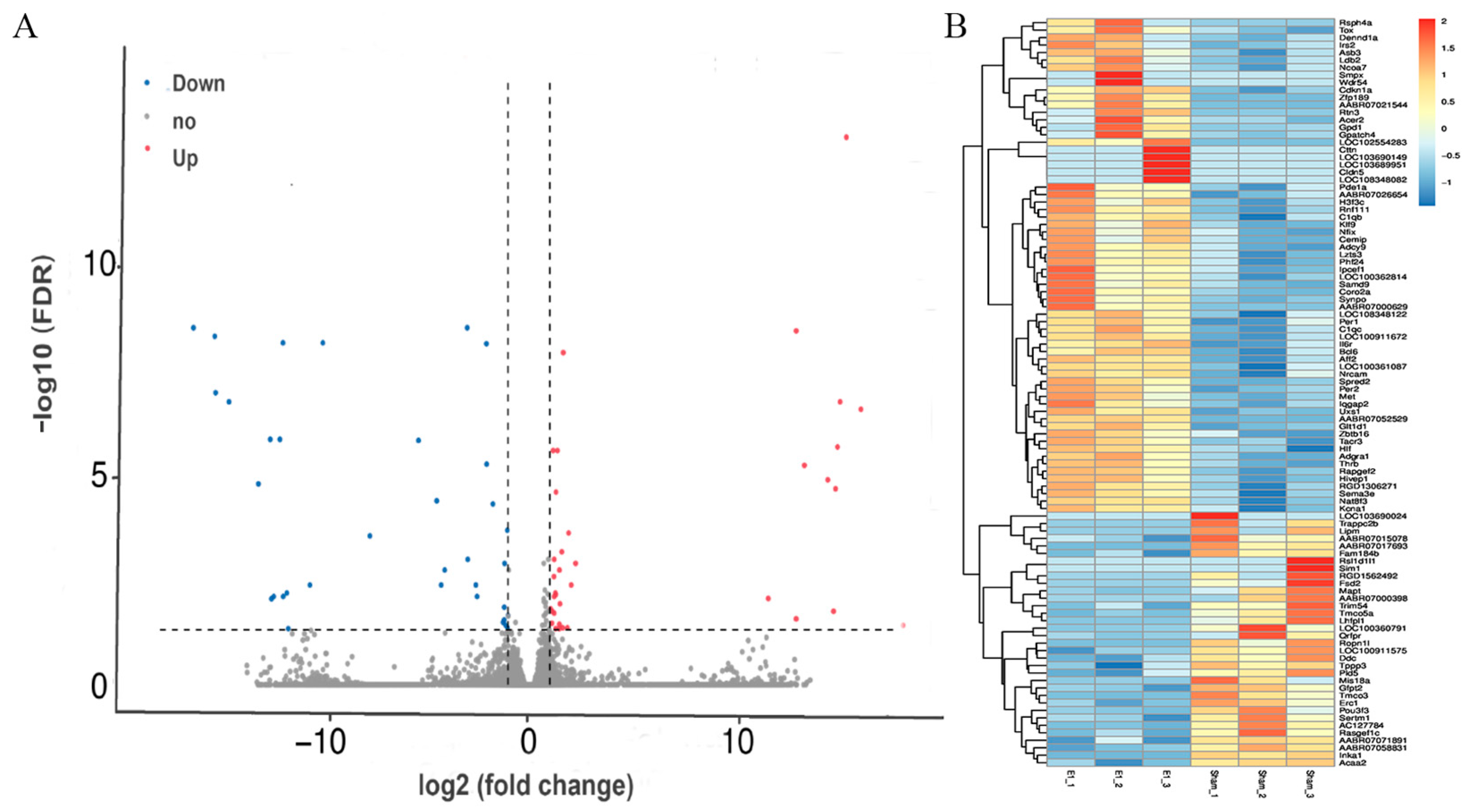 Brainsci 15 00837 g004