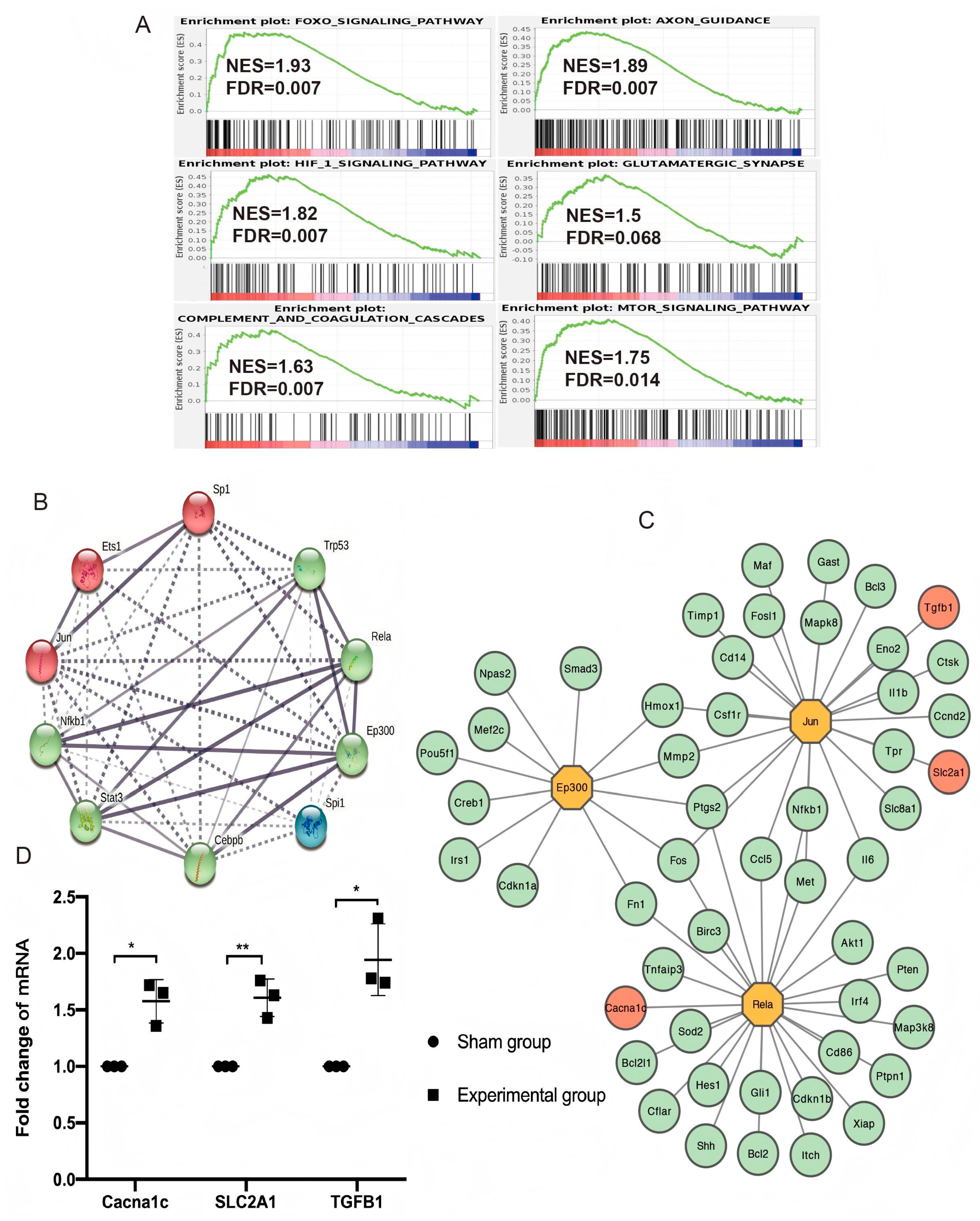 Brainsci 15 00837 g005