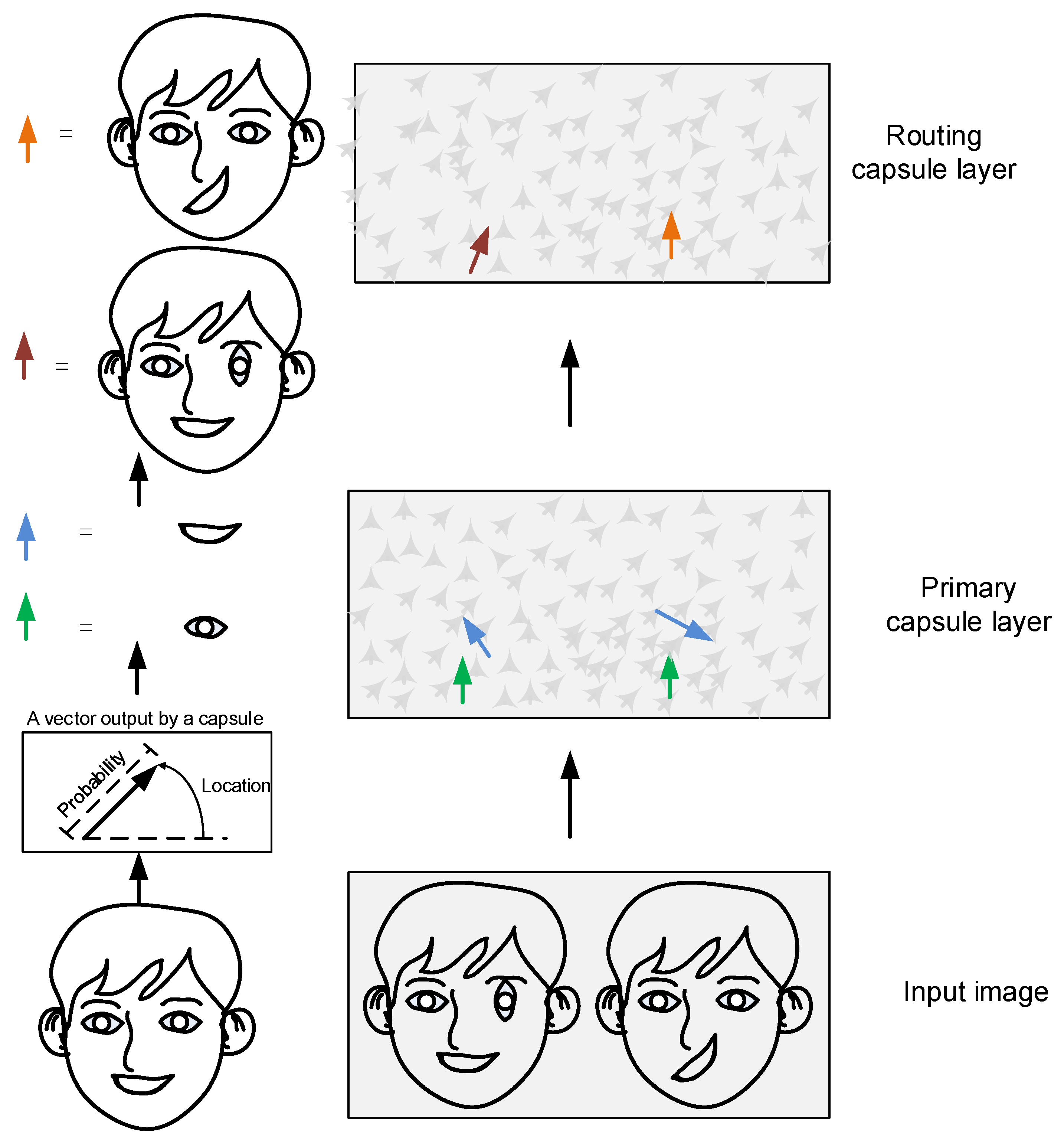 Brainsci 15 00842 g001 Brainsci 15 00842 g001