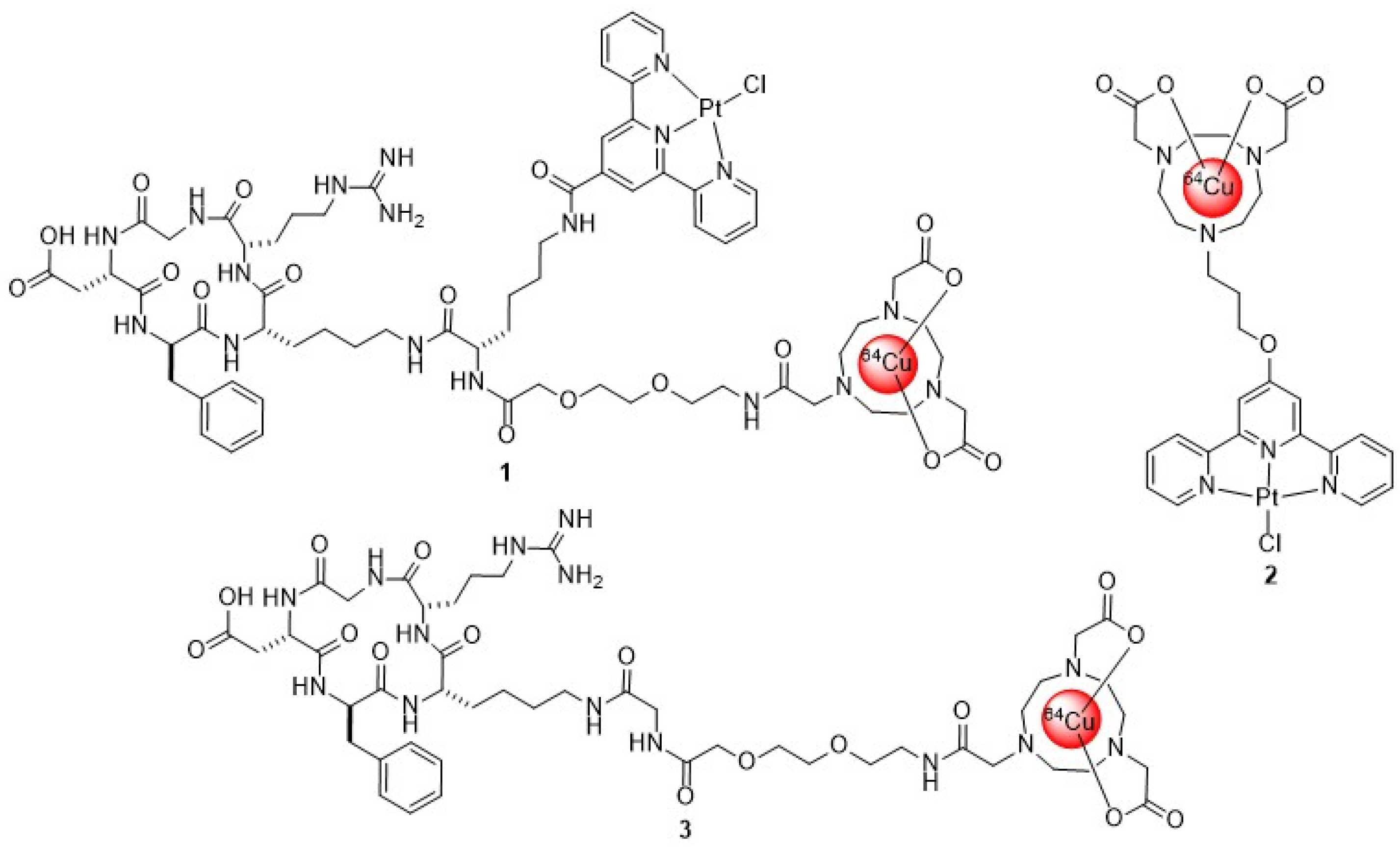 Brainsci 15 00844 g001 Brainsci 15 00844 g001
