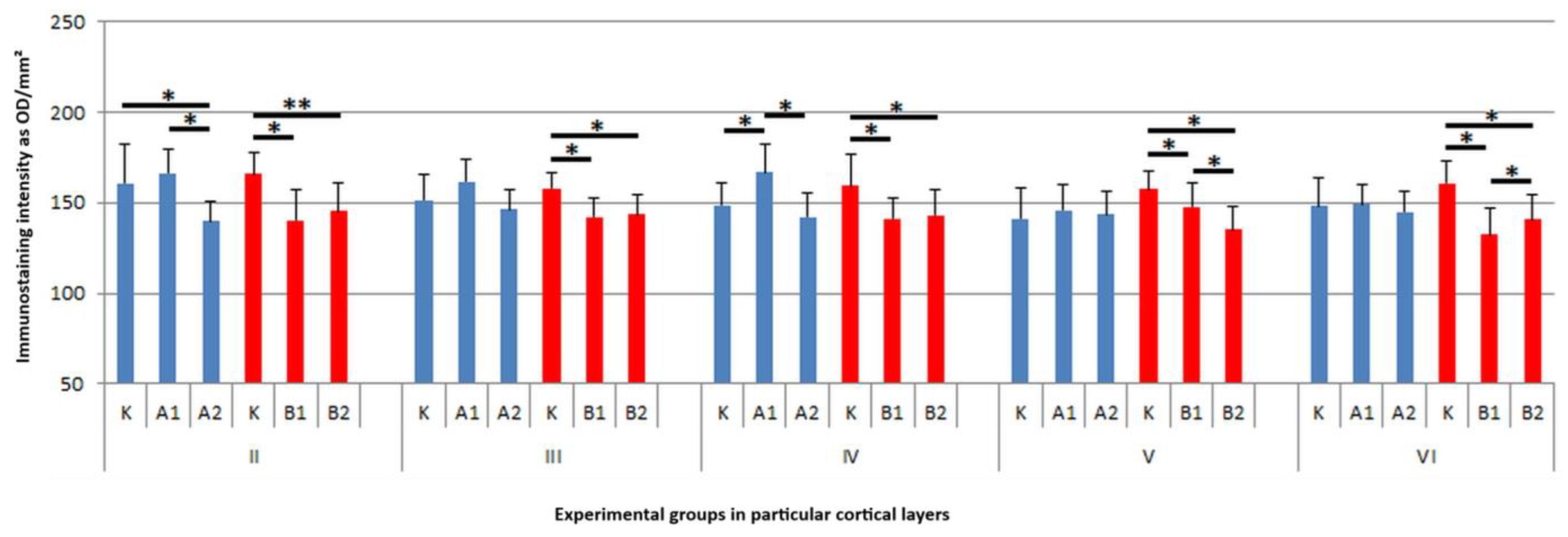 Brainsci 15 00845 g002