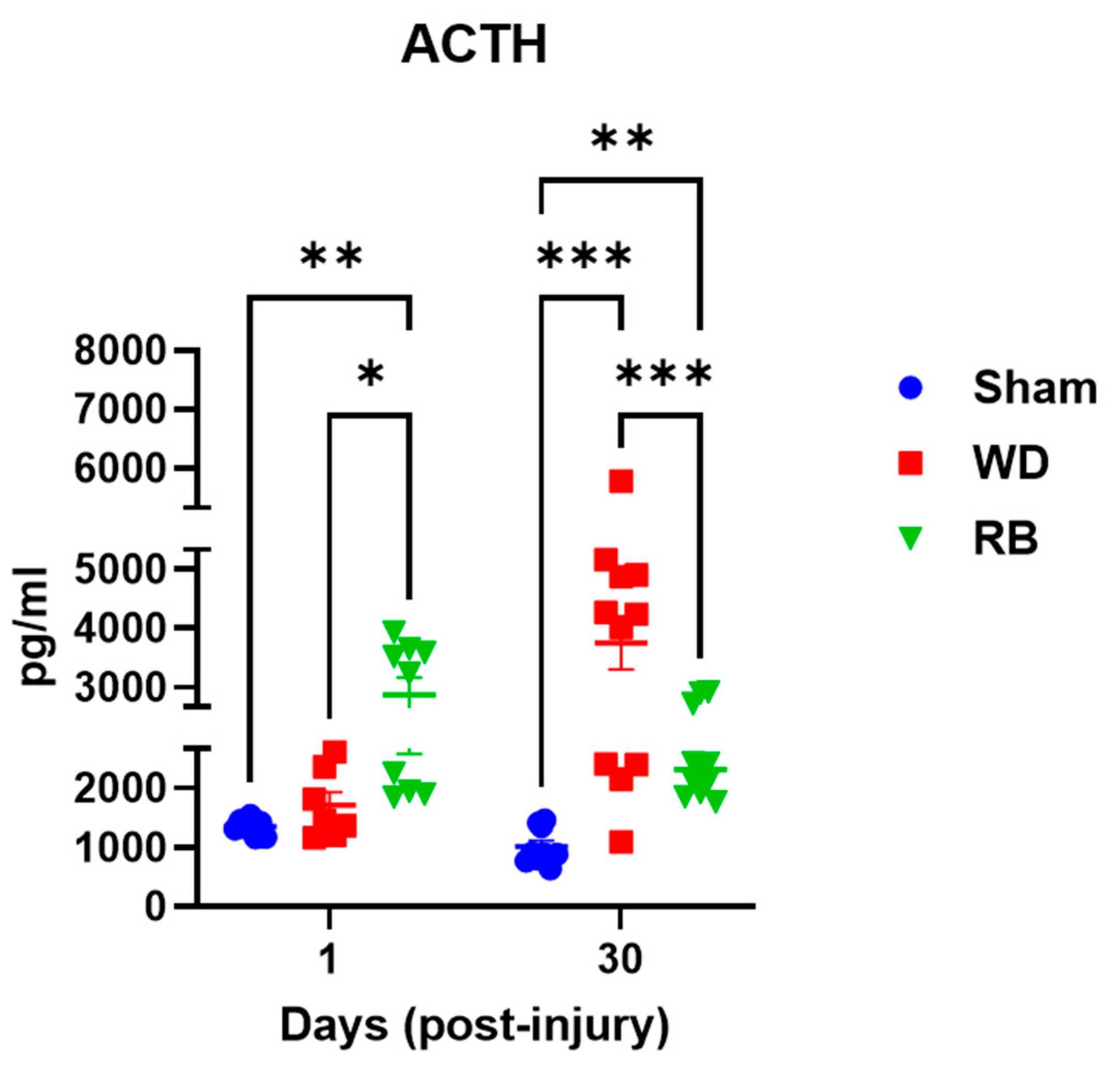 Brainsci 15 00847 g001 Brainsci 15 00847 g001