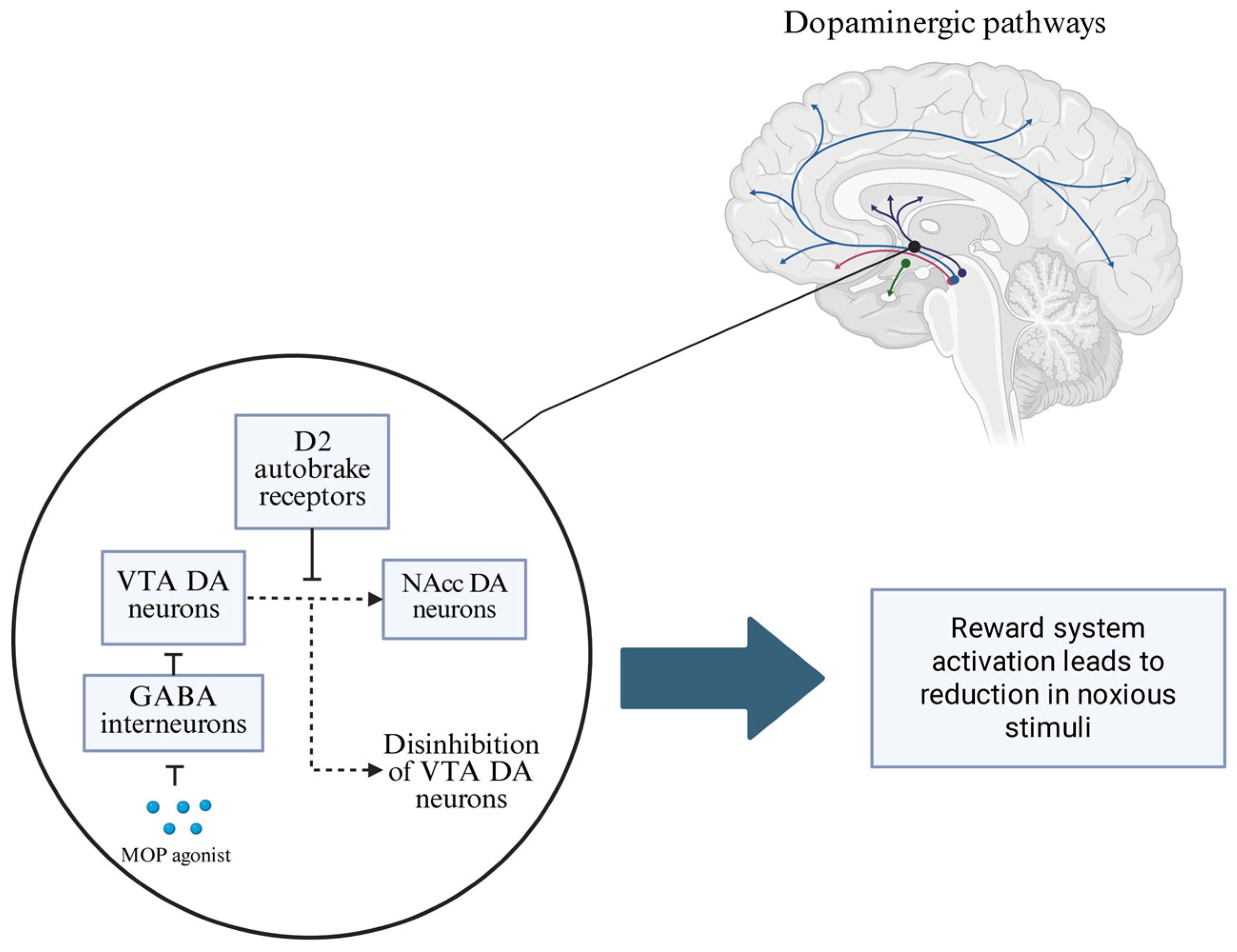 Brainsci 15 00850 g001 Brainsci 15 00850 g001