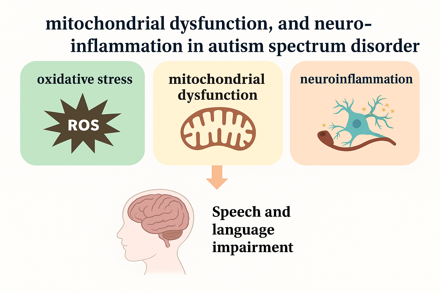 Brainsci 15 00853 g001 Brainsci 15 00853 g001