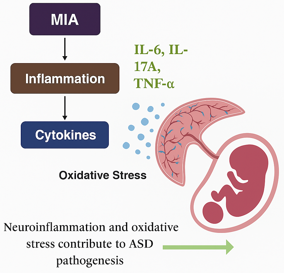 Brainsci 15 00853 g003 Brainsci 15 00853 g003