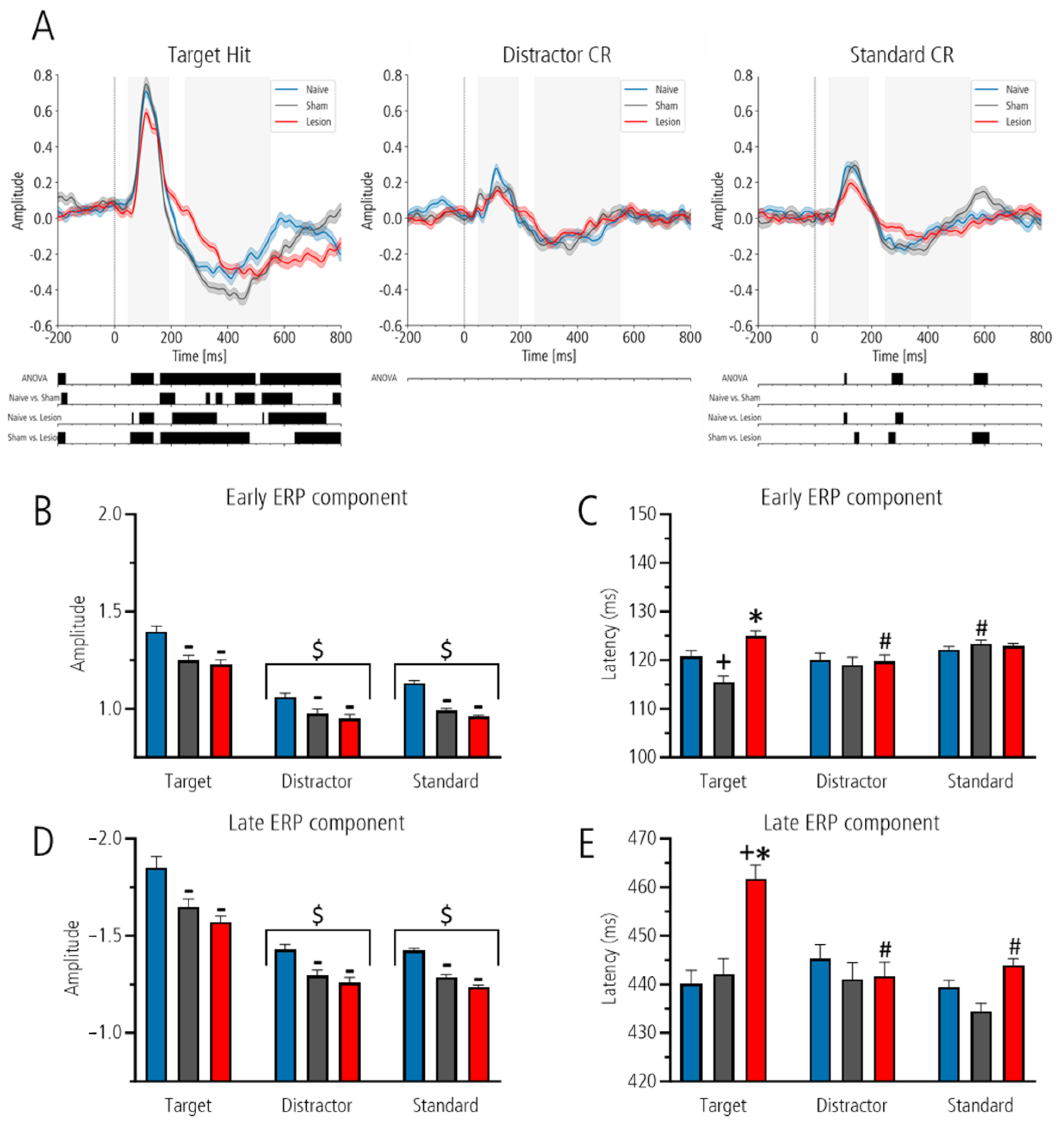 Brainsci 15 00862 g003