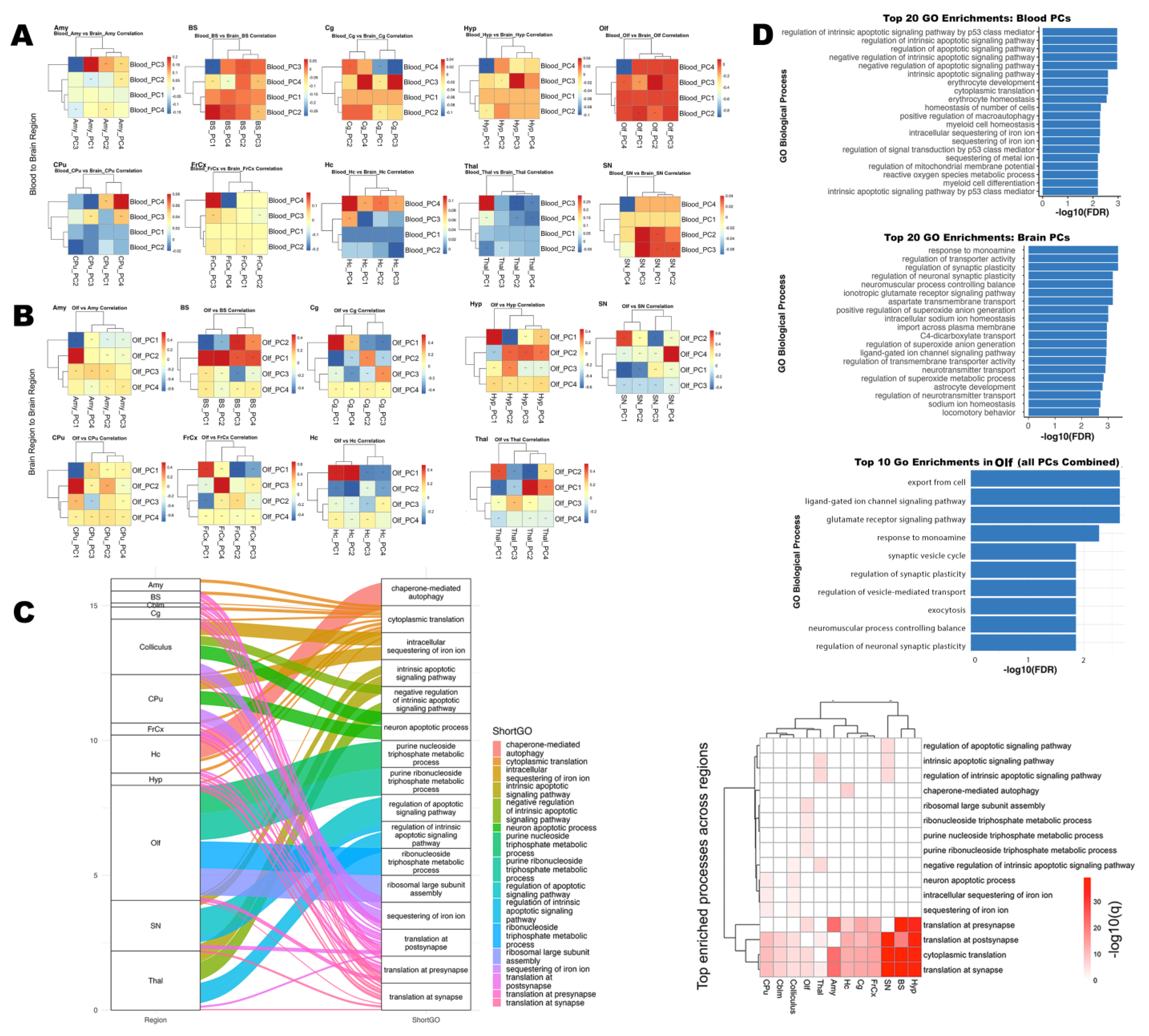 Brainsci 15 00863 g005