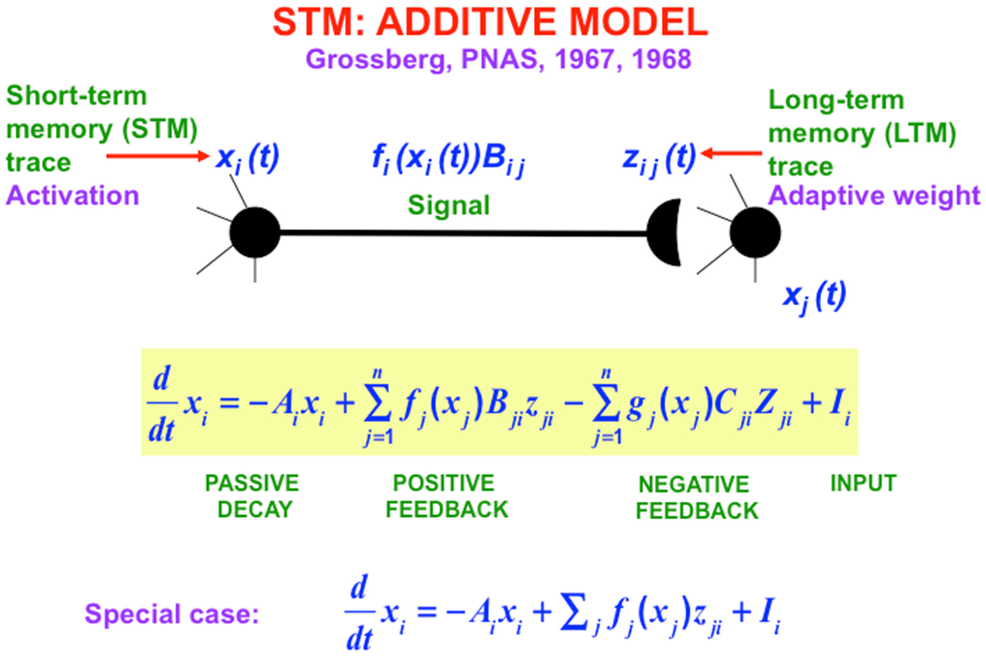 Brainsci 15 00870 g006