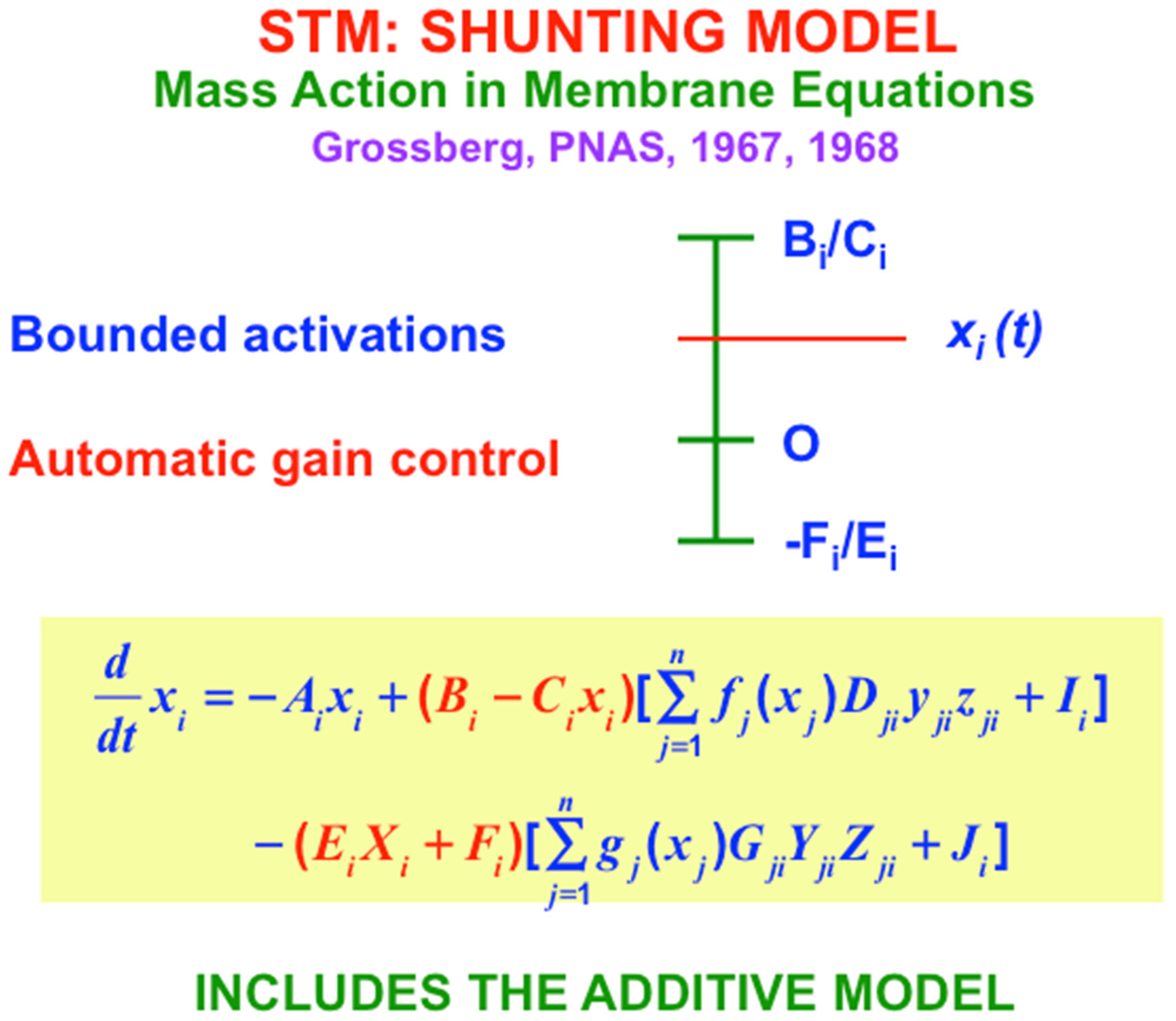 Brainsci 15 00870 g007