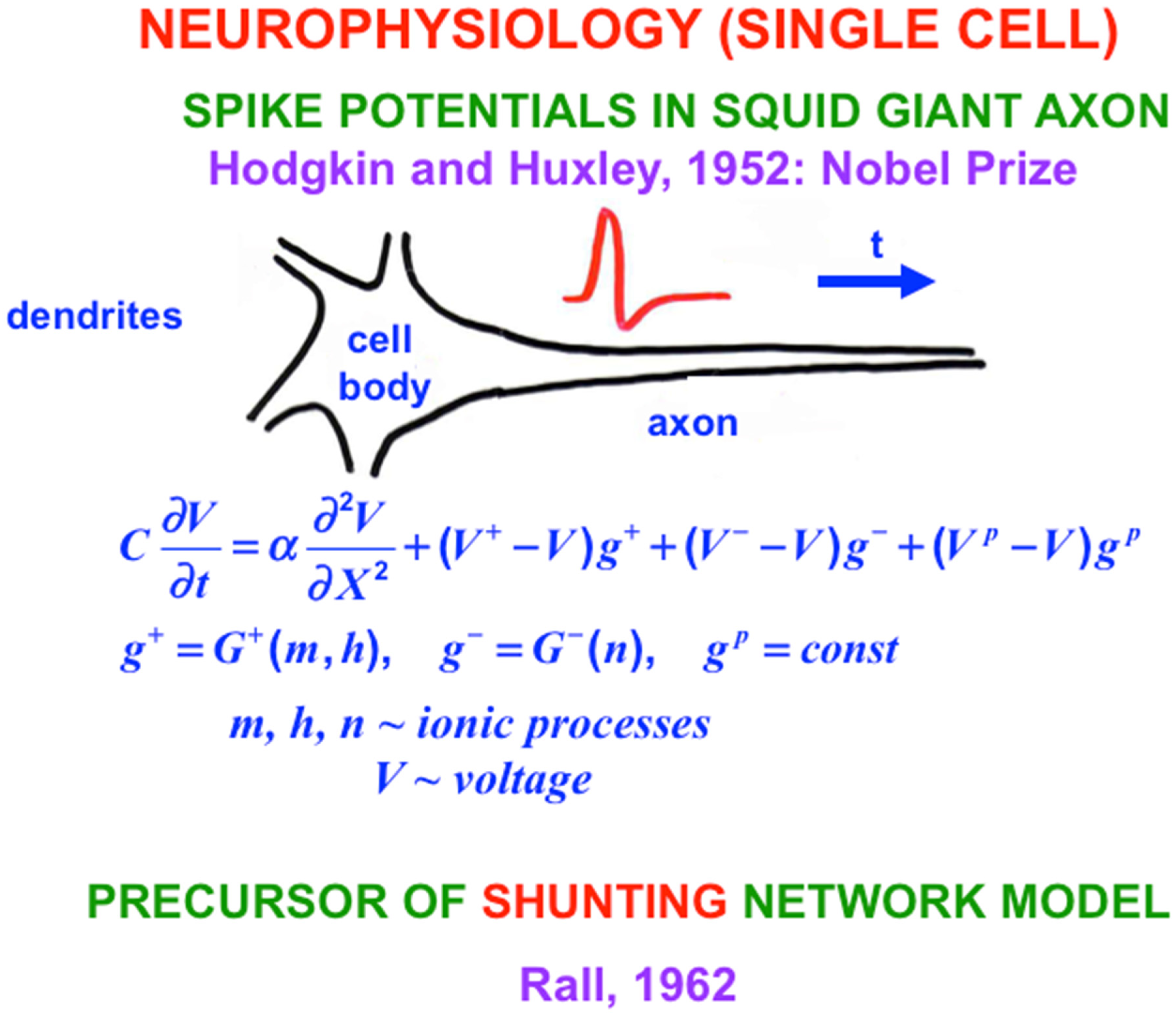 Brainsci 15 00870 g009