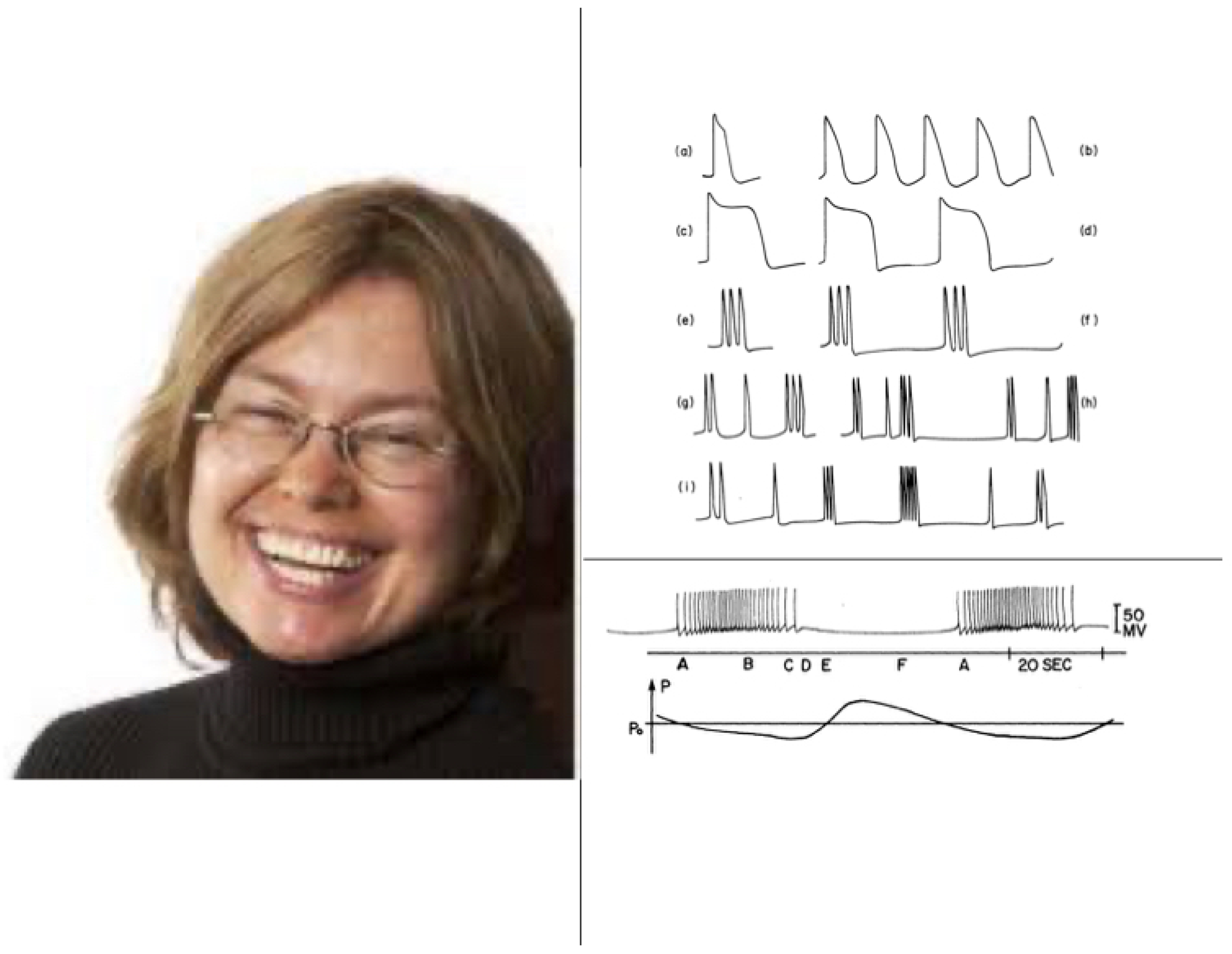 Brainsci 15 00870 g010