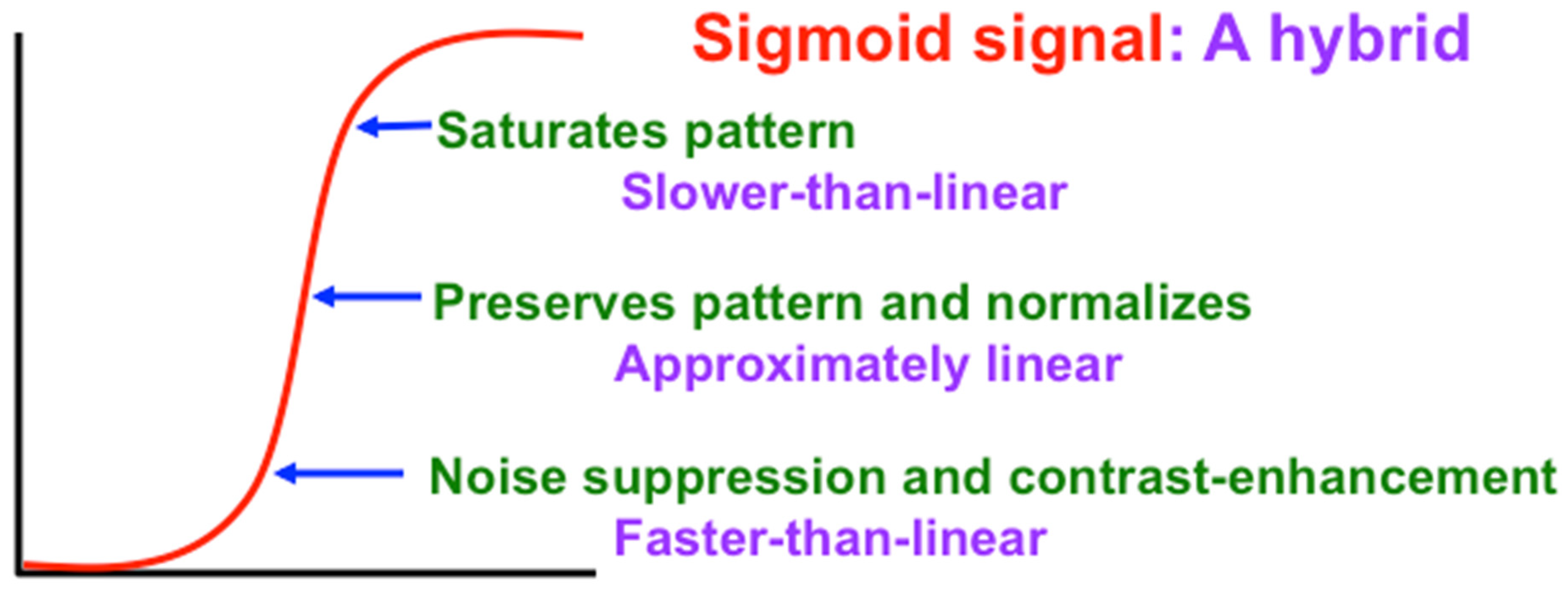 Brainsci 15 00870 g013