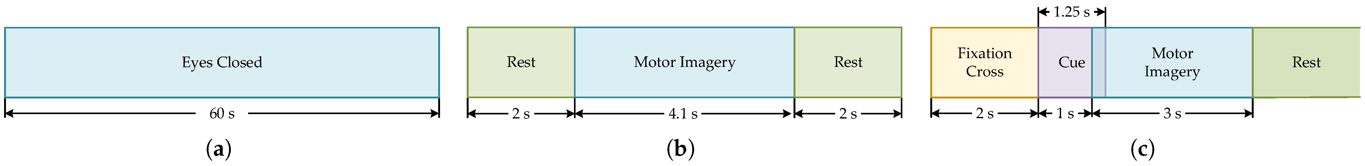 Brainsci 15 00877 g001 Brainsci 15 00877 g001
