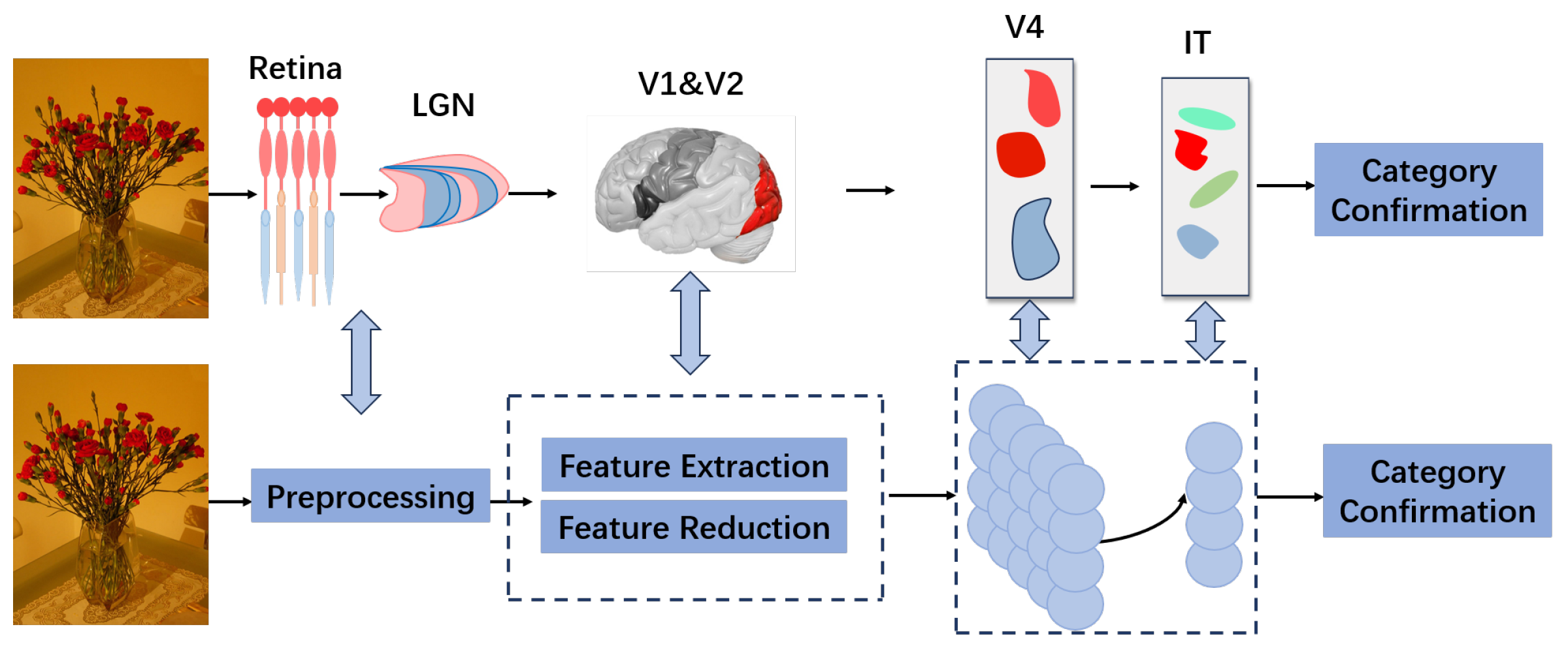 Brainsci 15 00882 g002